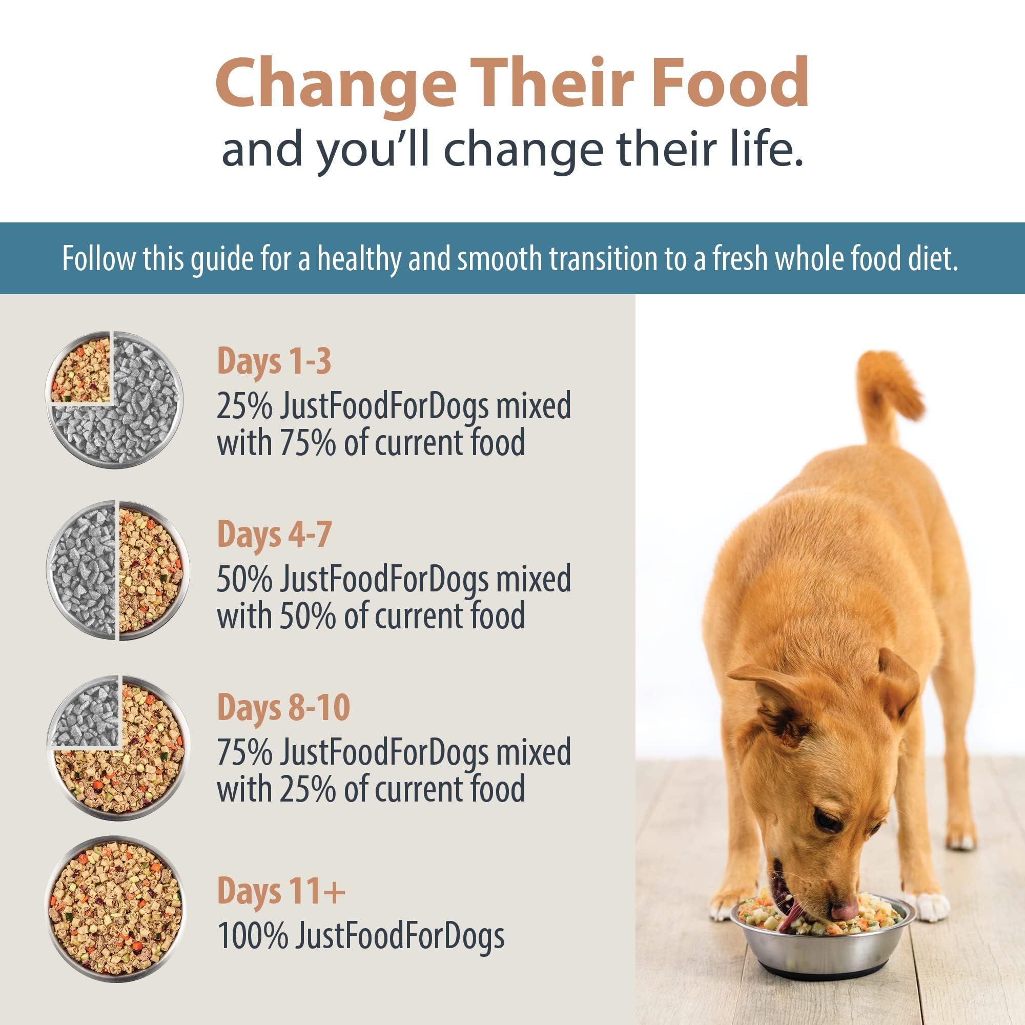 JustFoodForDogs Pantry Fresh Wet Dog Food, Complete Meal or Dog Food Topper, Turkey & Whole Wheat Macaroni Human Grade Dog Food
