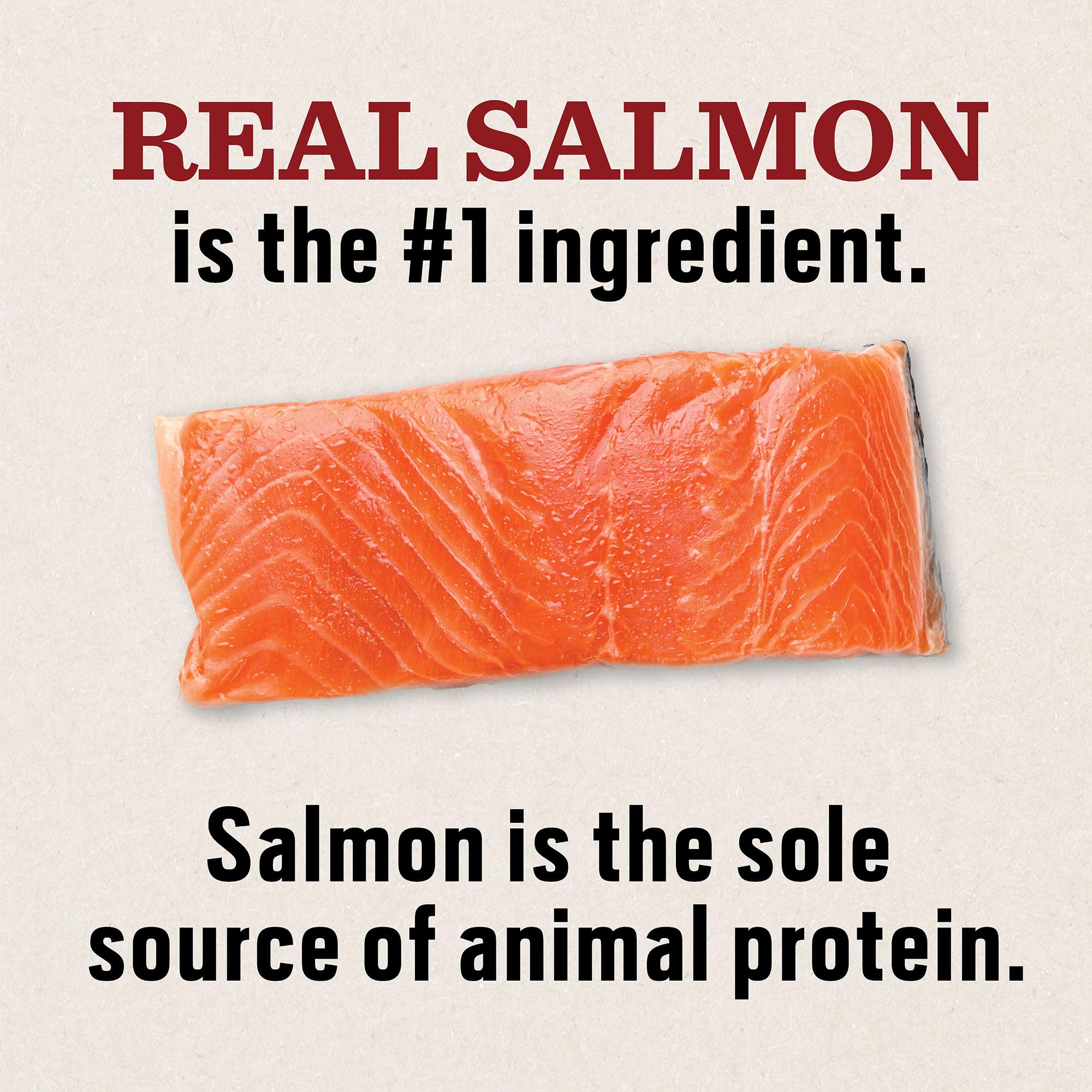 Dr. Pol Grain Free Salmon Dog Food - Premium Natural Dry Dog Food, Limited Ingredient High Protein Veterinarian Formulated Kibbl