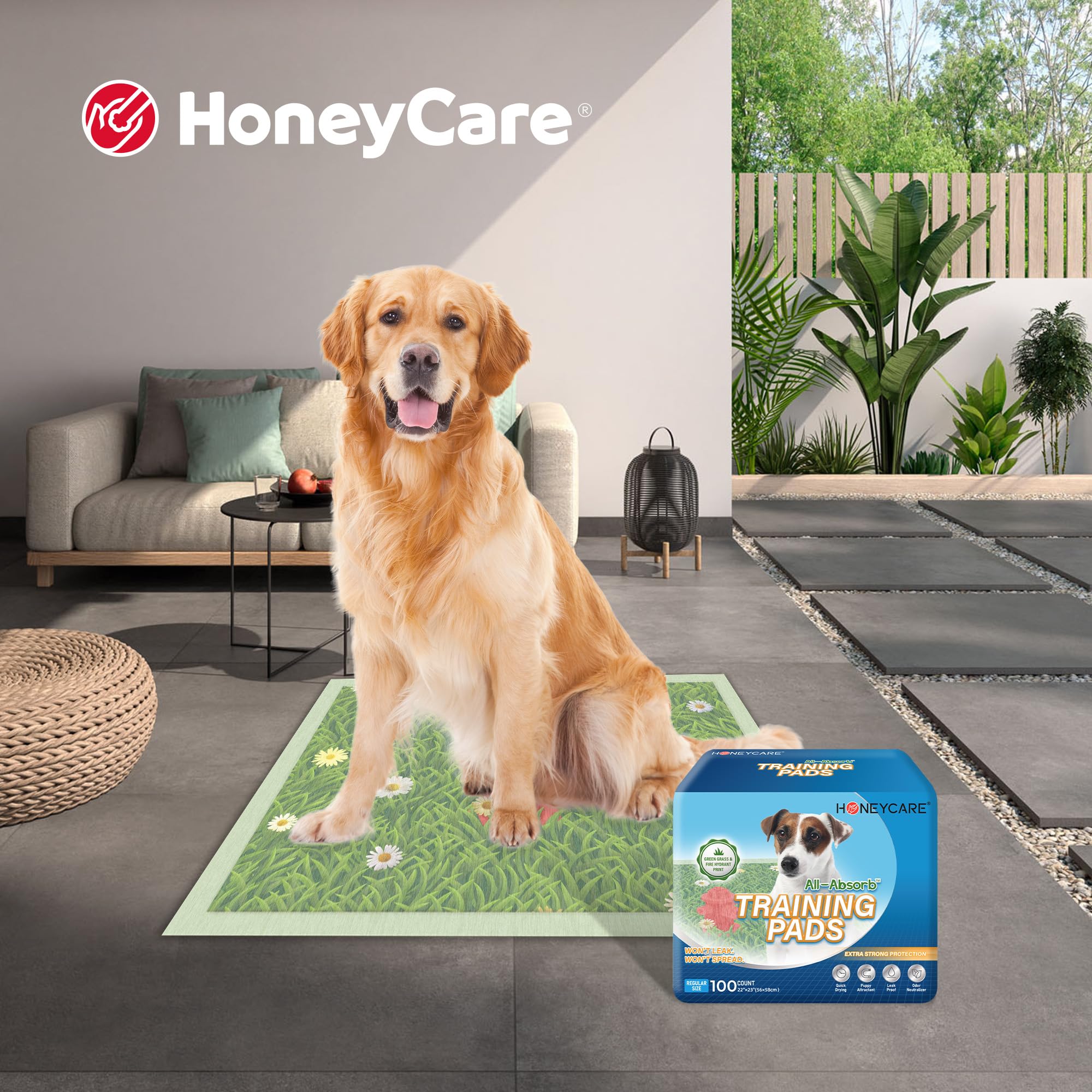 HONEY CARE Dog Training Pads with Grassfield & Fire Hydrant Printing?Eliminating Urine Odor Puppy Pads ? Premium Dog Pee Pads (1