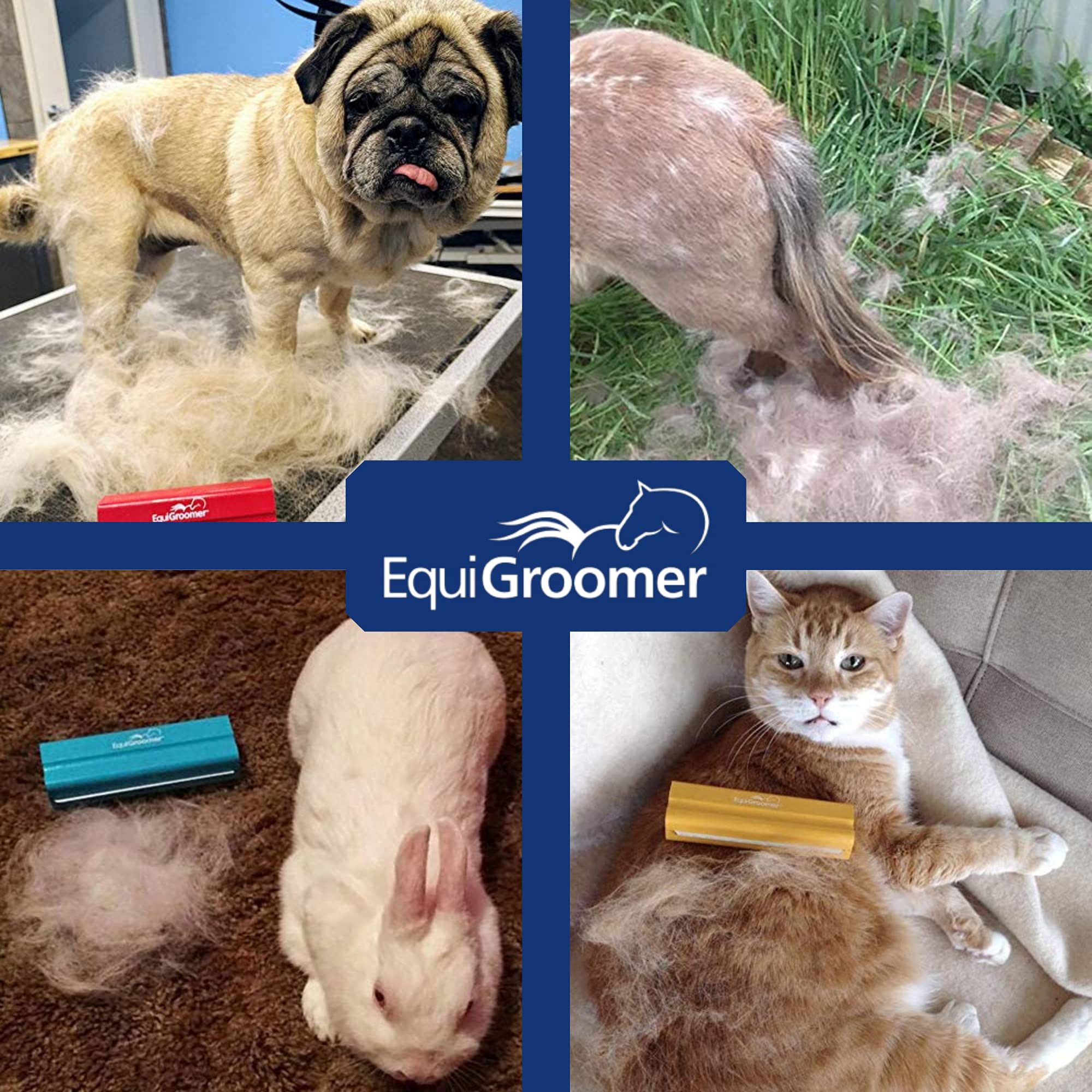 Equigroomer Deshedding Brush For Dogs And Cats  Undercoat Deshedding Tool For Large And Small Pets  Comb Removes Loose Dirt, Hai