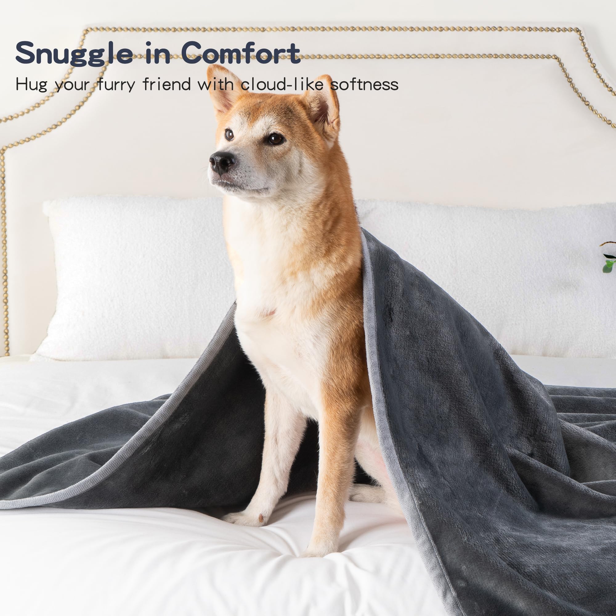 Capt.Snooze 50X60 Inch Dark Gray Pet Blanket For Medium/Large Dogs - Reversible Soft Fluffy Waterproof Flannel Dog Bed Blanket F