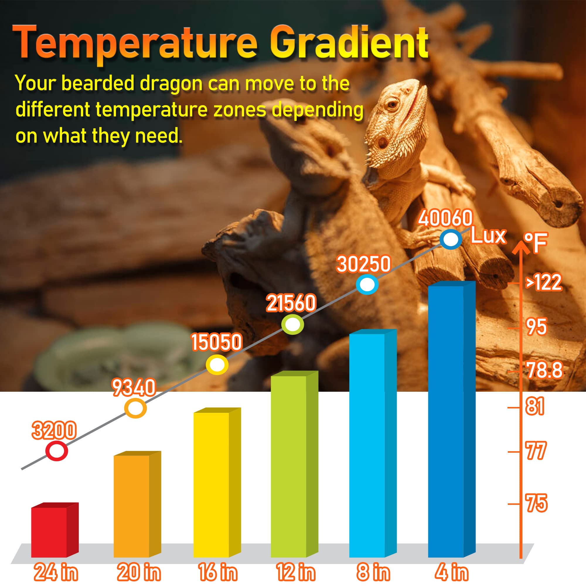 Neptonion 2Pack Reptile Heat Lamp 75W Uv Heat Light Bulb, Basking Daylight Spot Bulb For Lizard, Tortoise, Bearded Dragon (E26,110V)