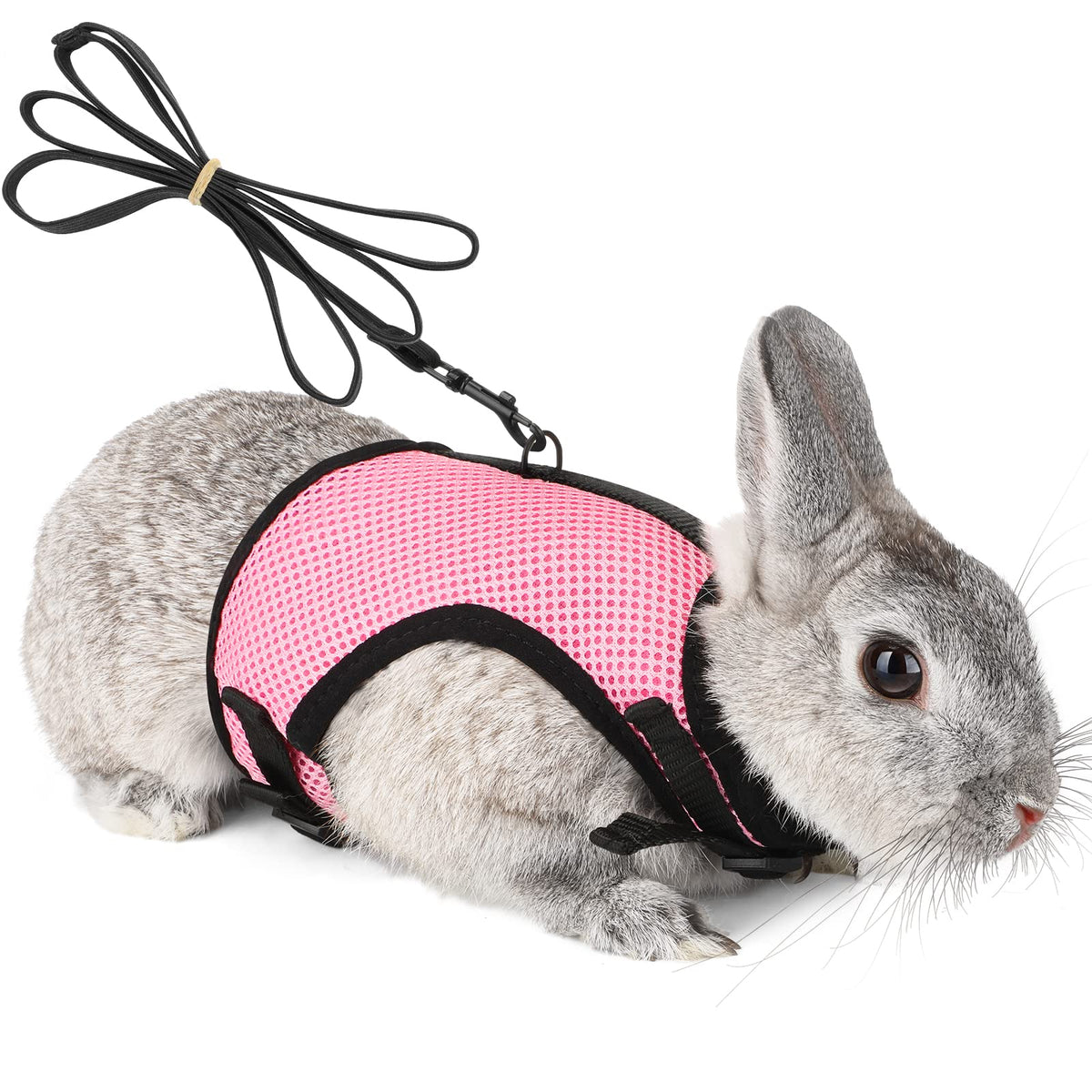 Pettom Bunny Rabbit Harness With Stretchy Leash Cute Adjustable Buckle Breathable Mesh Vest Harness And Leash Set For Kitten Sma