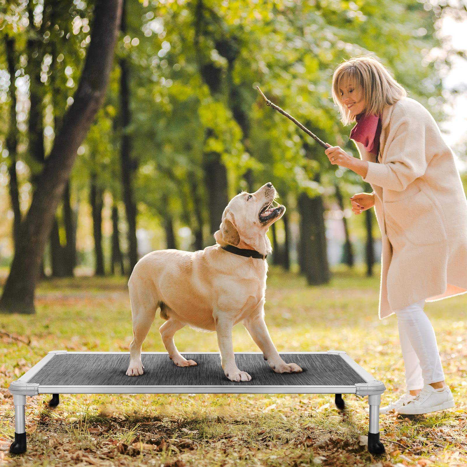 Veehoo Chew Proof Elevated Dog Bed - Cooling Raised Pet Cot - Silver Aluminum Frame And Durable Textilene Mesh Fabric, Unique De