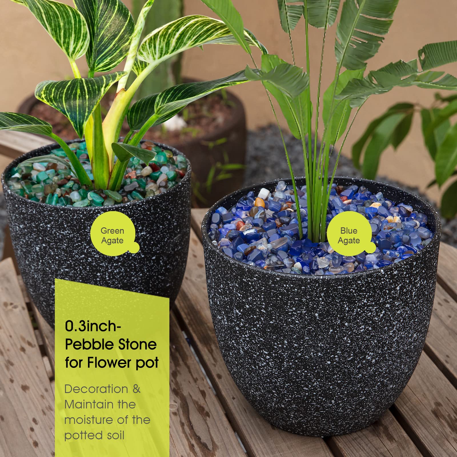 RIFNY Decorative Polished Rocks, 0.3  Gravel Rocks Crushed Crystal for Plant Flower Pots Succulents Cactus Bamboo Plant Vase Fil