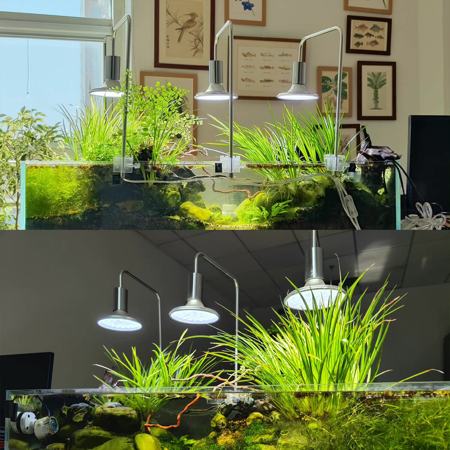 Horior Newest Arrival Aquarium Led Light Full Spectrum Fish Tank Light For Saltwater Freshwater Aquarium Lamp For Coral Reef