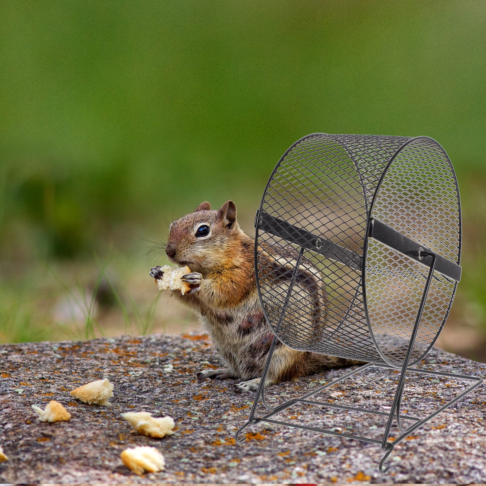 Ukcoco Interesting Hamster Running Wheel - 10 Inch Silent Exercise Wheel For Hamsters, Hedgehogs, And Small Pets With Rack - Fun