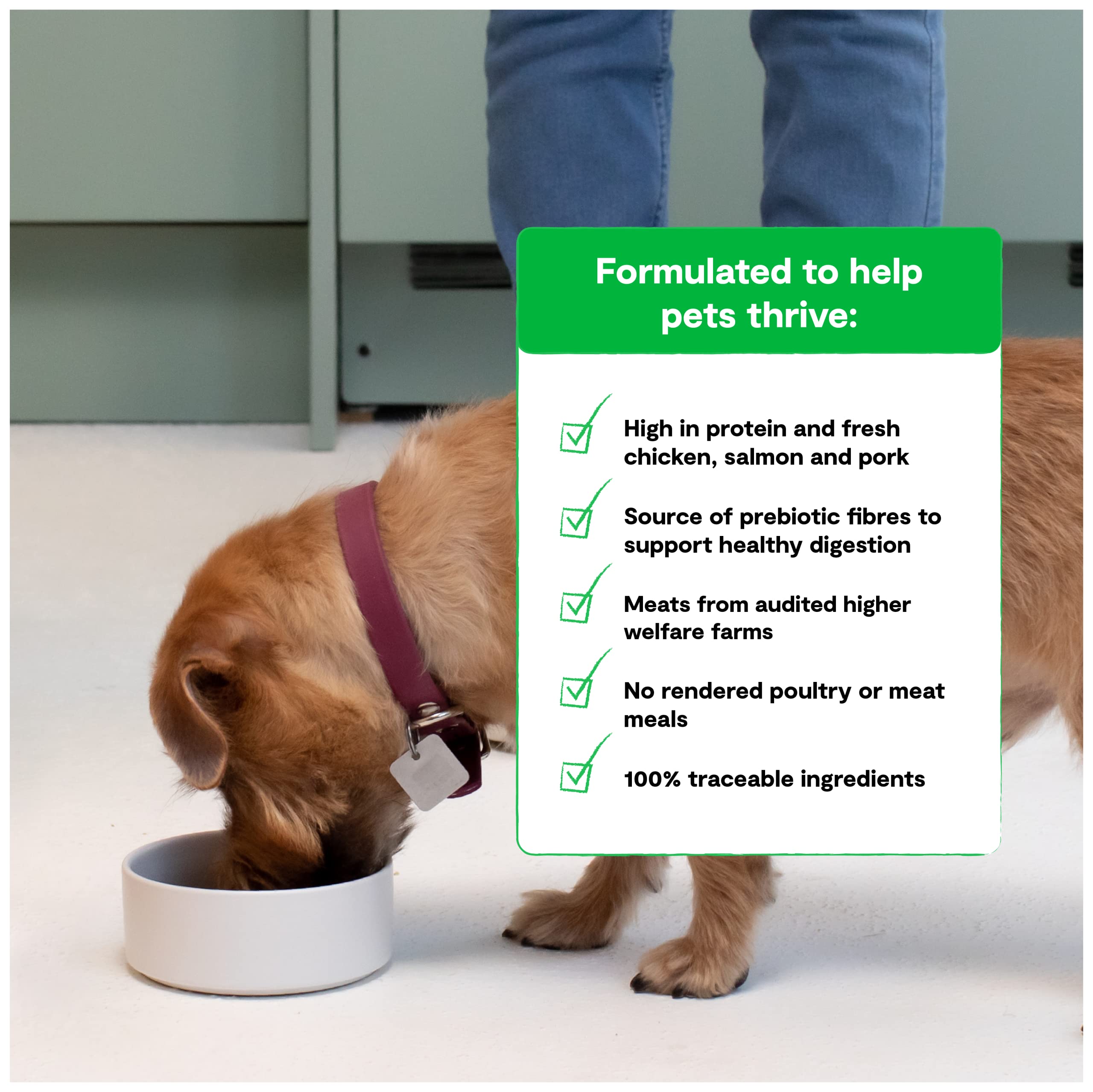 Open Farm Grain-Free Dry Puppy Food with Ethically Sourced Ingredients, Non-GMO Veggies & Superfoods to Support Overall Health,