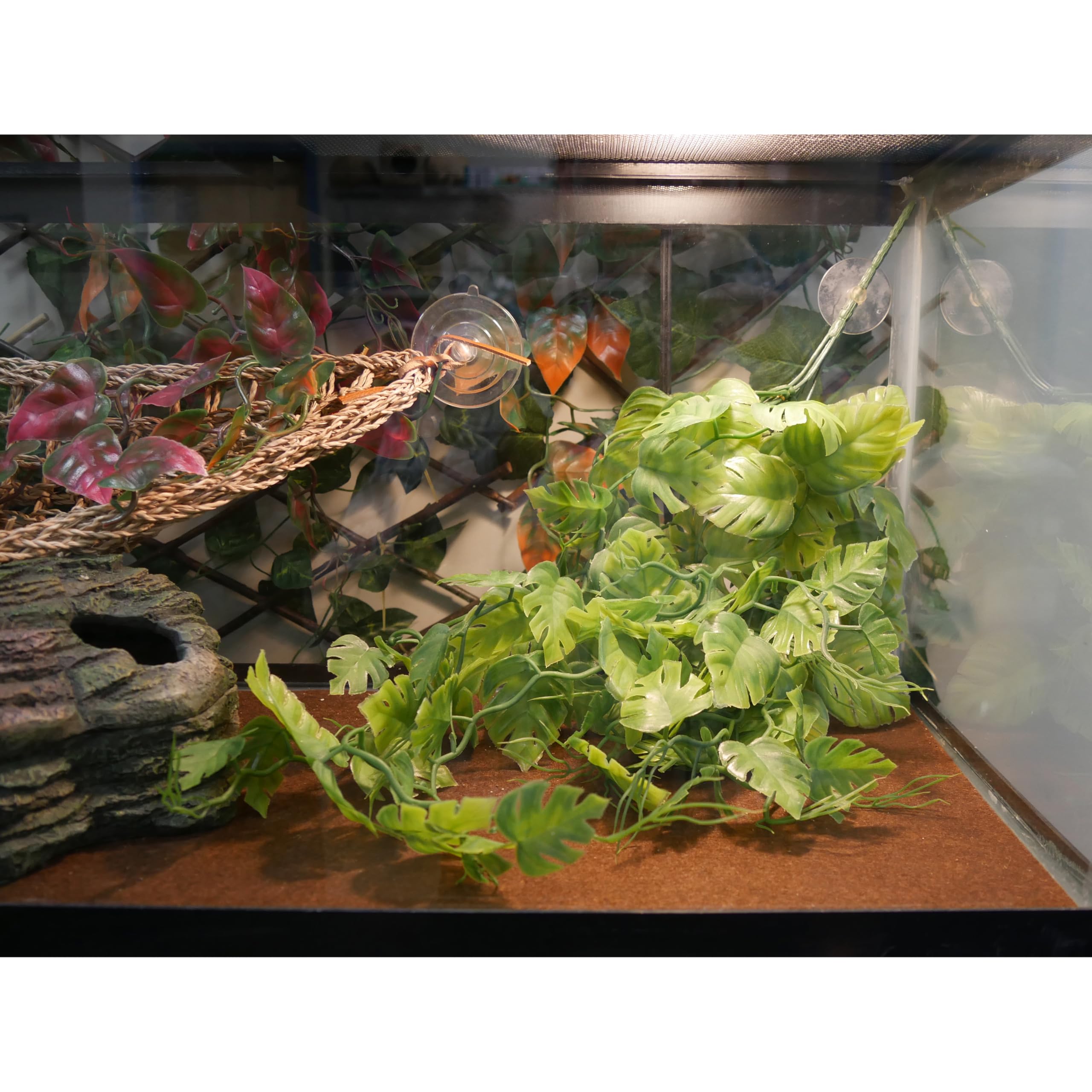 PP 24 GREEN REPTILE VINE REP423