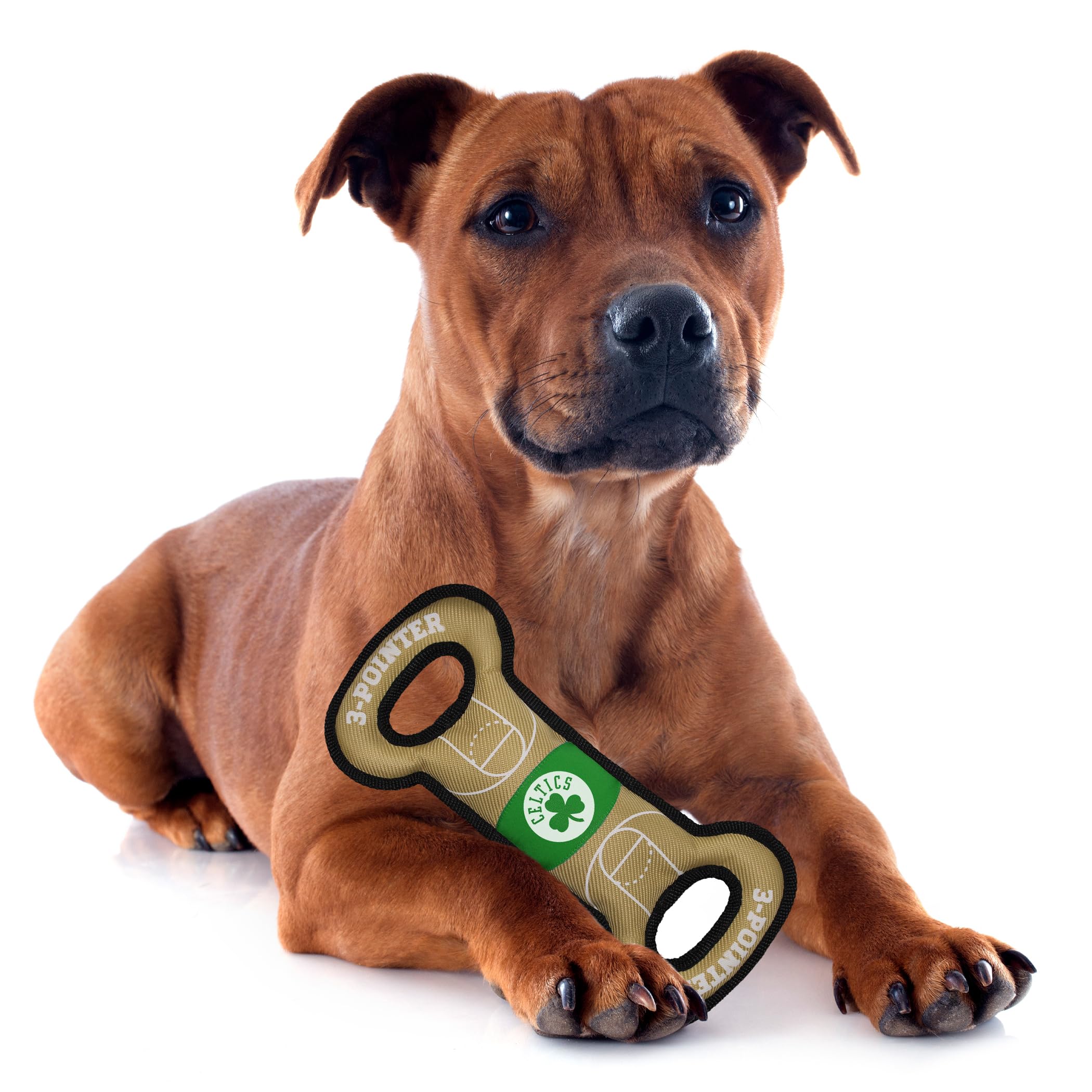 Pets First Nba Boston Celtics Field Toy. - Tough Nylon Pet Toy With Double Trim Stitching & Inner Squeaker, One Size, Cel-3030