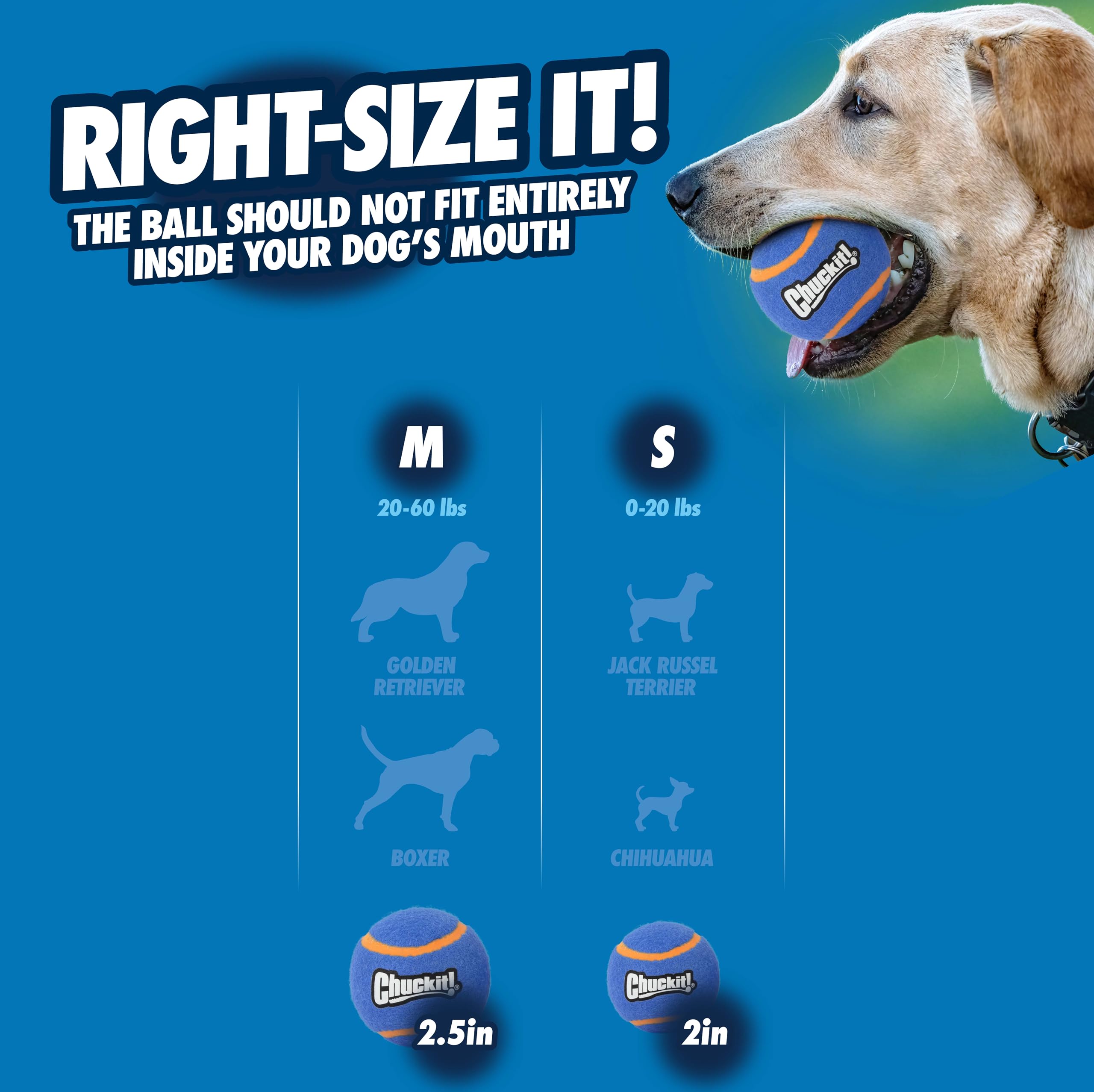 Chuckit! Squeaker Tennis Ball Dog Toy, X-Large (3.5 Inch Diameter) Pack of 2, for Breeds 100+ lbs