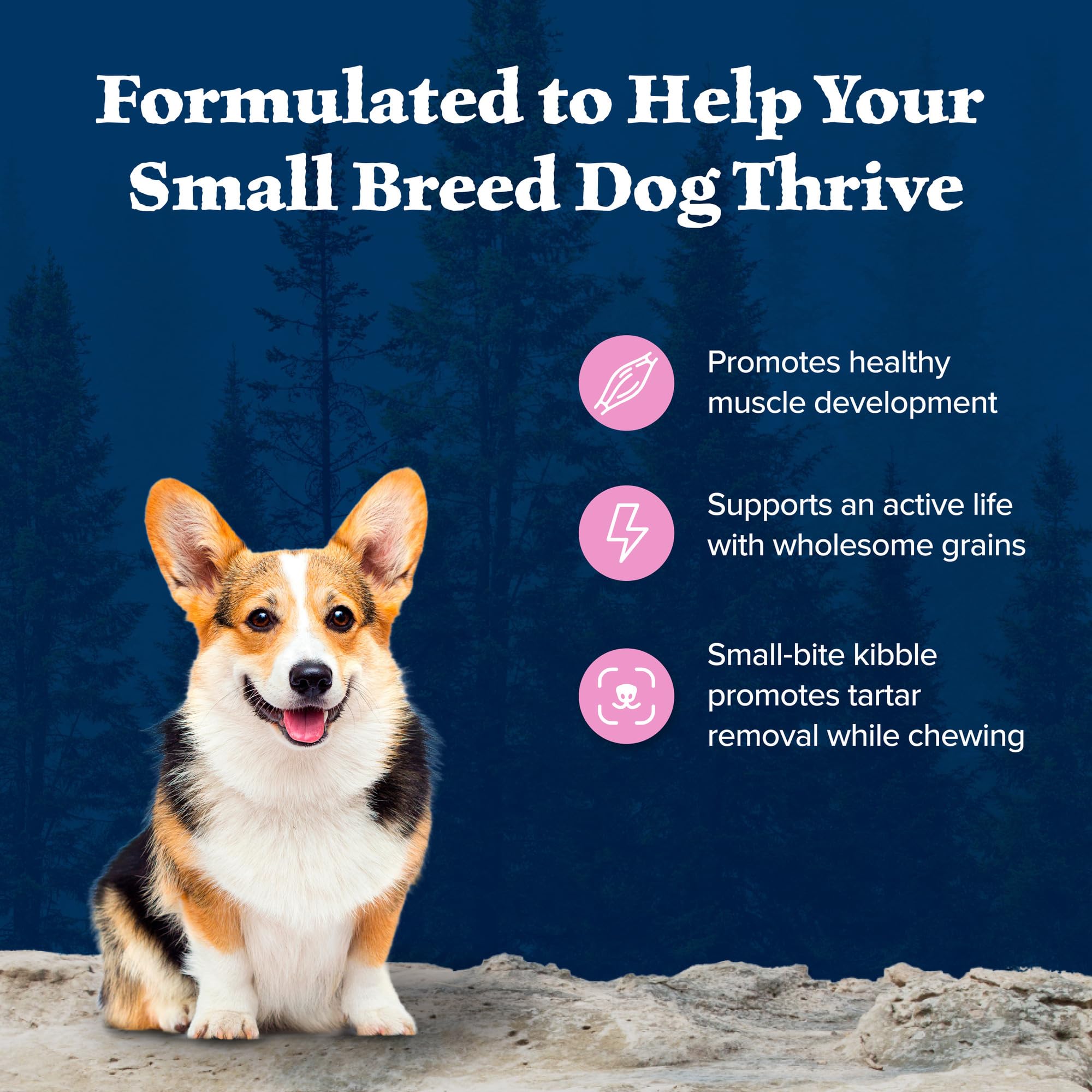 Blue Buffalo Wilderness Natural High-Protein Dry Food for Small Breed Adult Dogs, Chicken Recipe, 13-lb Bag