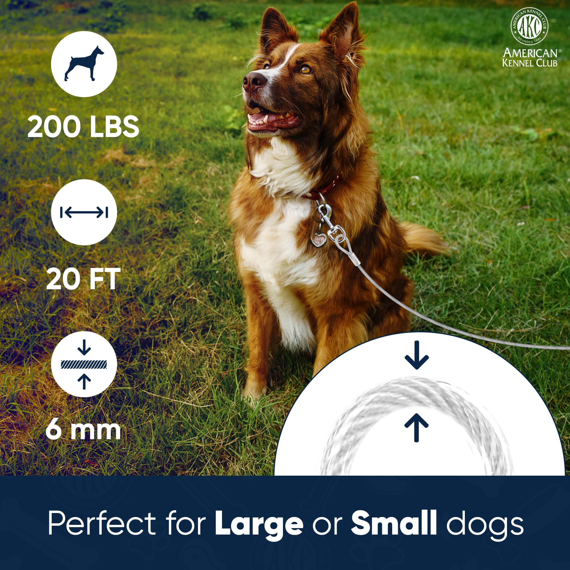 American Kennel Club Akc Heavy Duty Steel Tie-Out Cable For Dogs