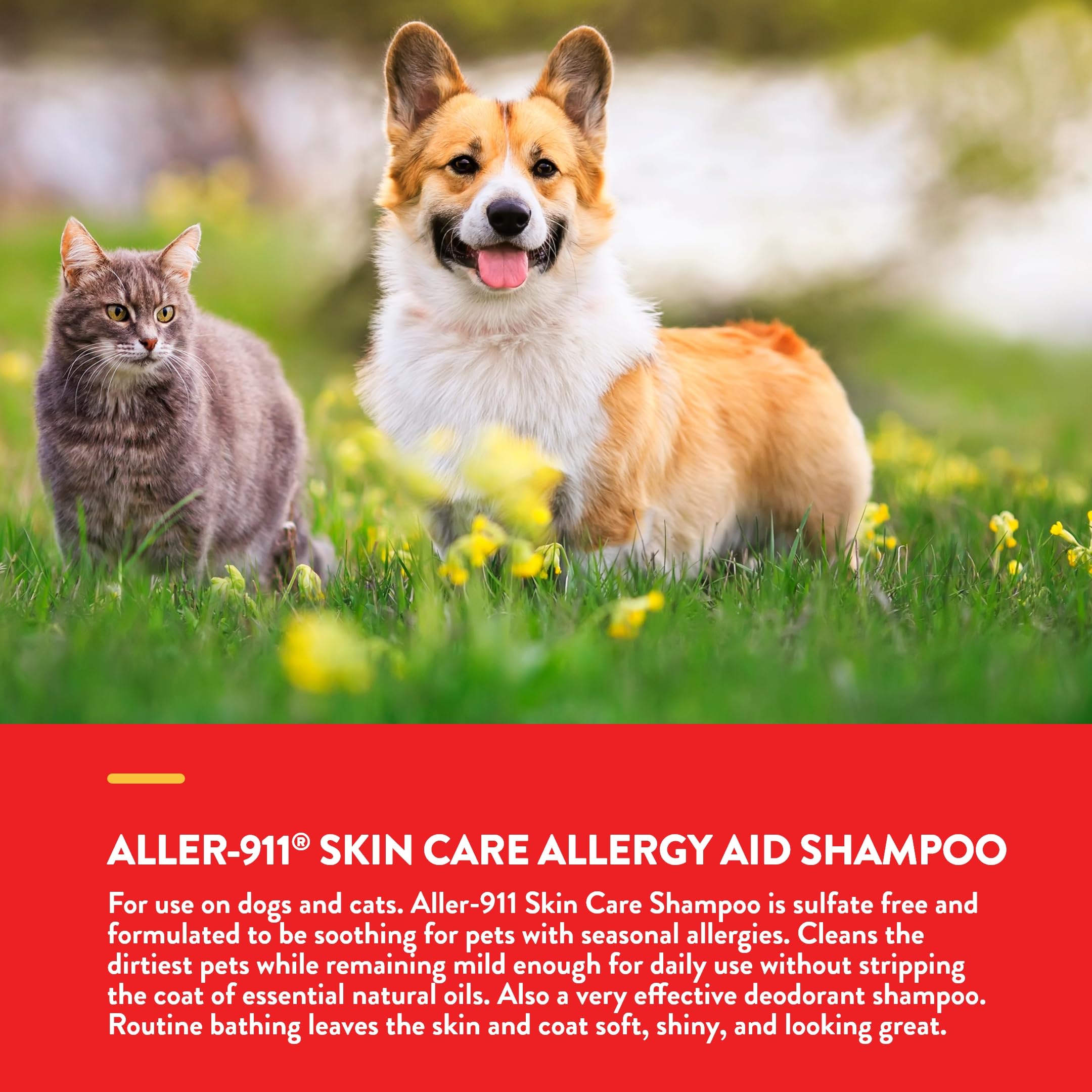 Naturvet Aller-911 Skin Care Allergy Aid Pet Shampoo With Aloe Vera – Pet Health Supplement Shampoo & Grooming Aid For Dermatitis, Dog Skin Allergies, Itching, Hot Spots, Cat Rashes – 16 Oz.