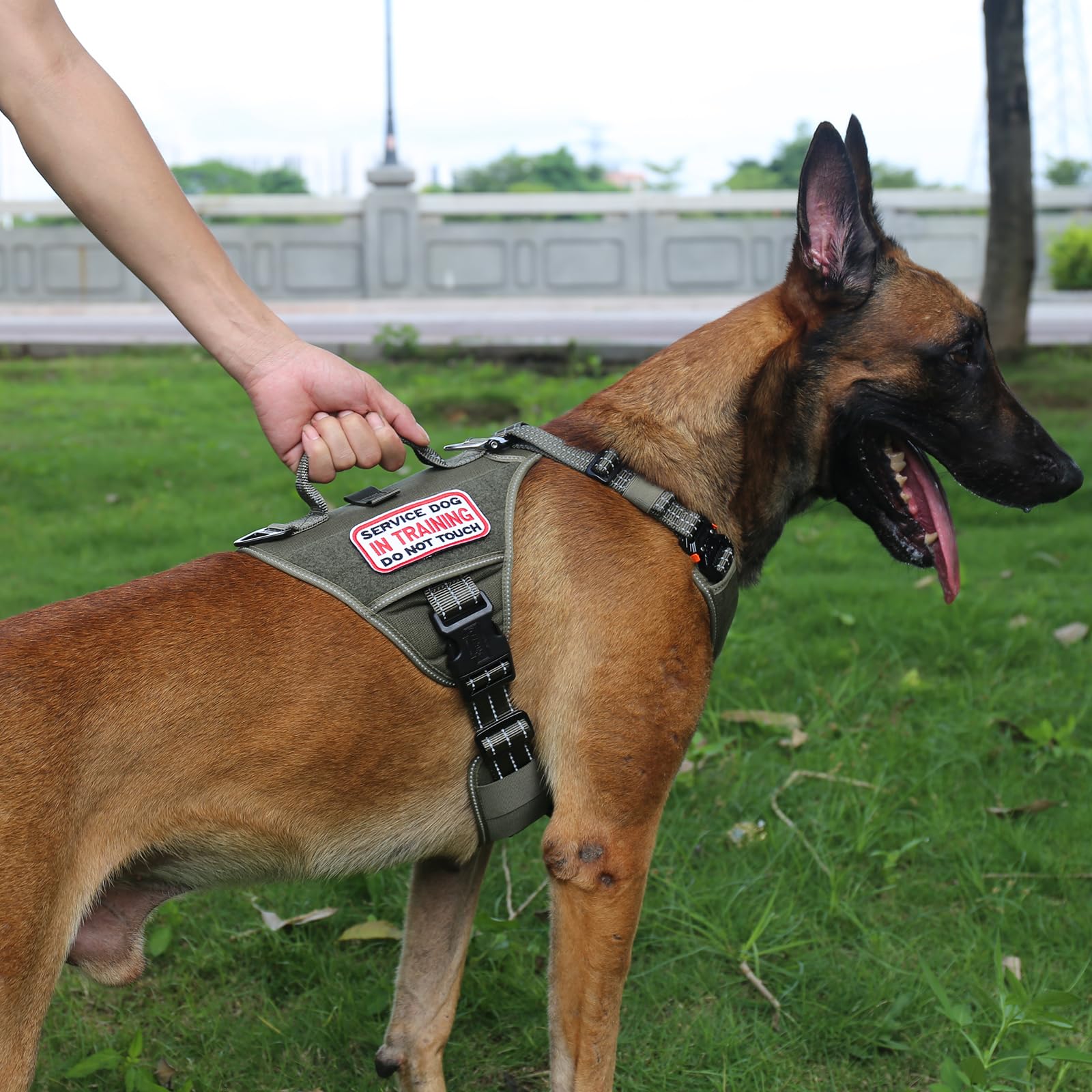 Icefang Gn8 Quick-Moving Tactical Dog Harness With 2Xmetal Buckles For Large Sized Dogs,Reflective K9 Vest,No-Pull Front Leash Clip,5-Points Adjustable Pet Harness (Green, Large (Pack Of 1))