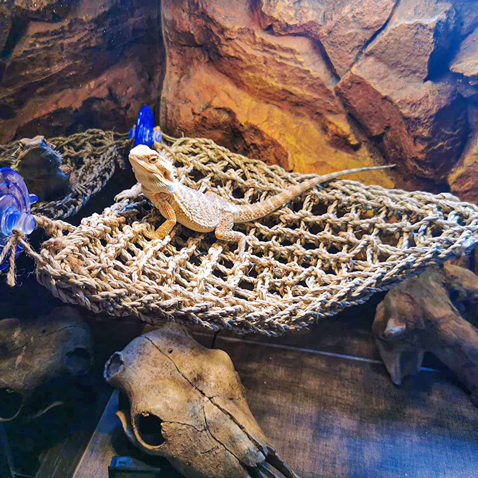 Mechpia 12 Pieces Bearded Dragon Tank Accessories, Reptile Hammock Plants And Vines Terrarium Branch Plants Habitat Decoration F