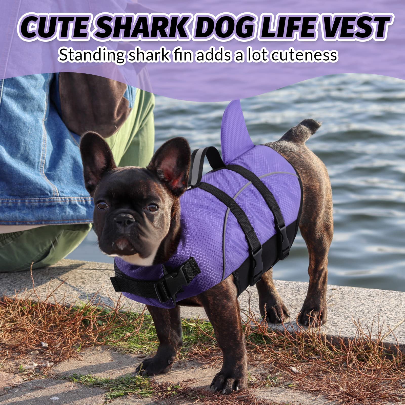 Queenmore Small Dog Life Jacket for Swimming, Boating, Kayaking - High Buoyancy Puppy Preserver with Rescue Handle (Purple, XS)