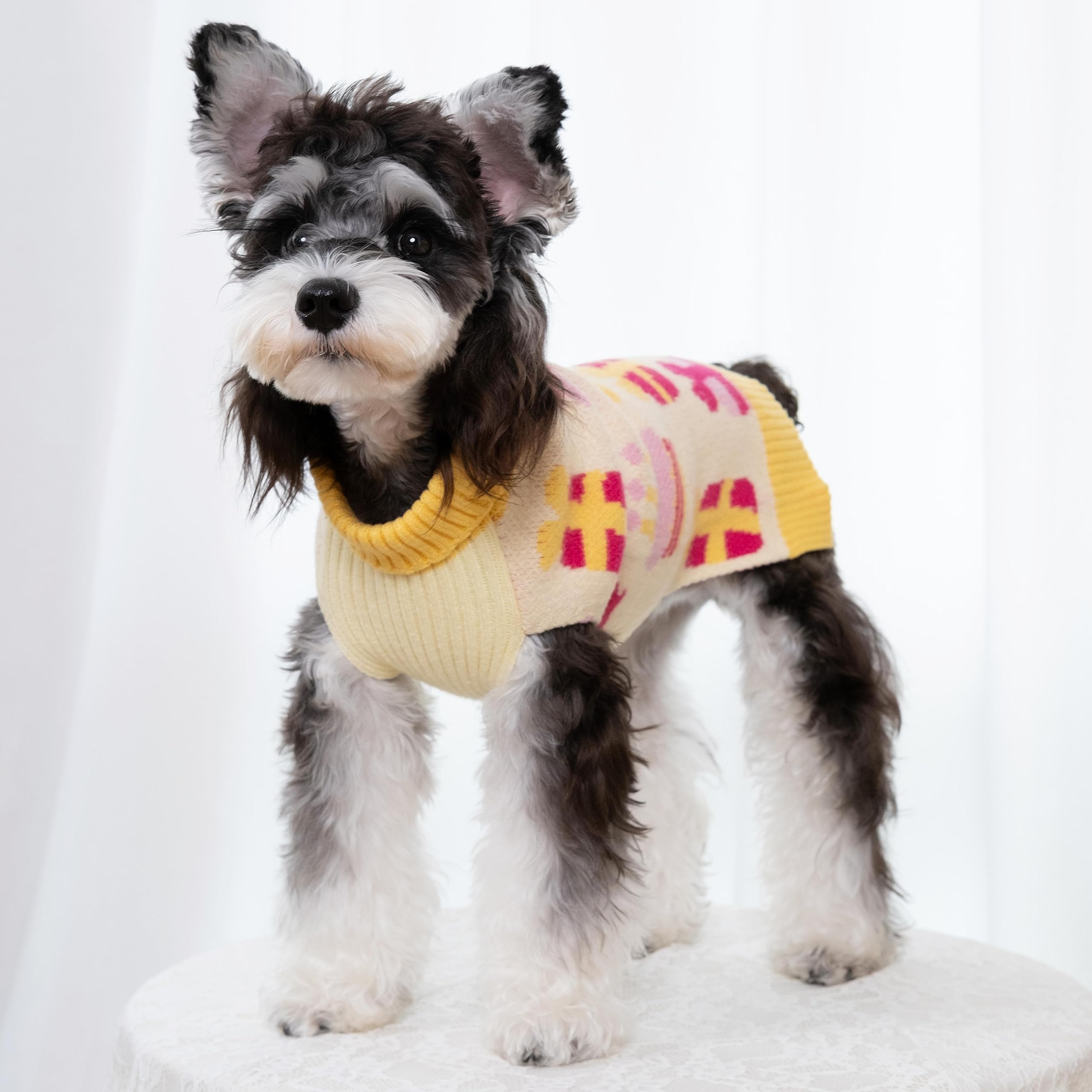 Cutebone Birthday Dog Sweater For Small Dogs Gift Knit Yellow Turtleneck Pet Winter Clothes Cat Apparel With Harness Hole