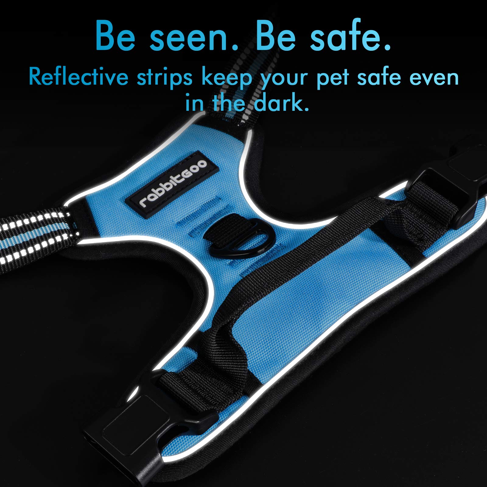 Rabbitgoo Dog Harness, No-Pull Pet Harness With 2 Leash Clips, Adjustable Soft Padded Dog Vest, Reflective No-Choke Pet Oxford Vest With Easy Control Handle For Small Dogs, Blue, S