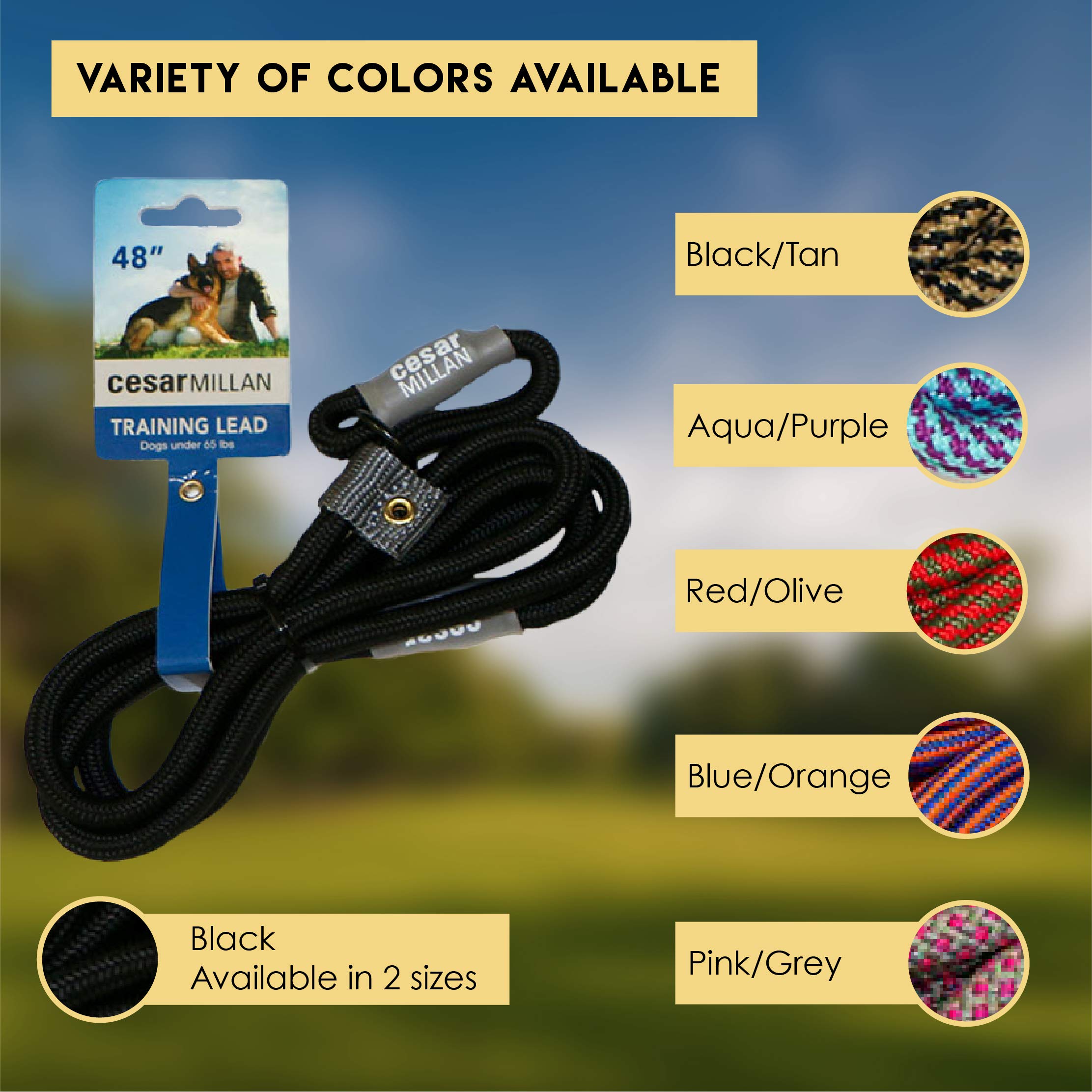 Cesar Millan Slip Lead Leash™ - 2-In-1 Slip Collar Dog Training Lead & Collar | Heavy Duty Durable Weatherproof Rope Leash, No Pull Training | Length 4Ft Diameter 4/10”(Regular, Black)