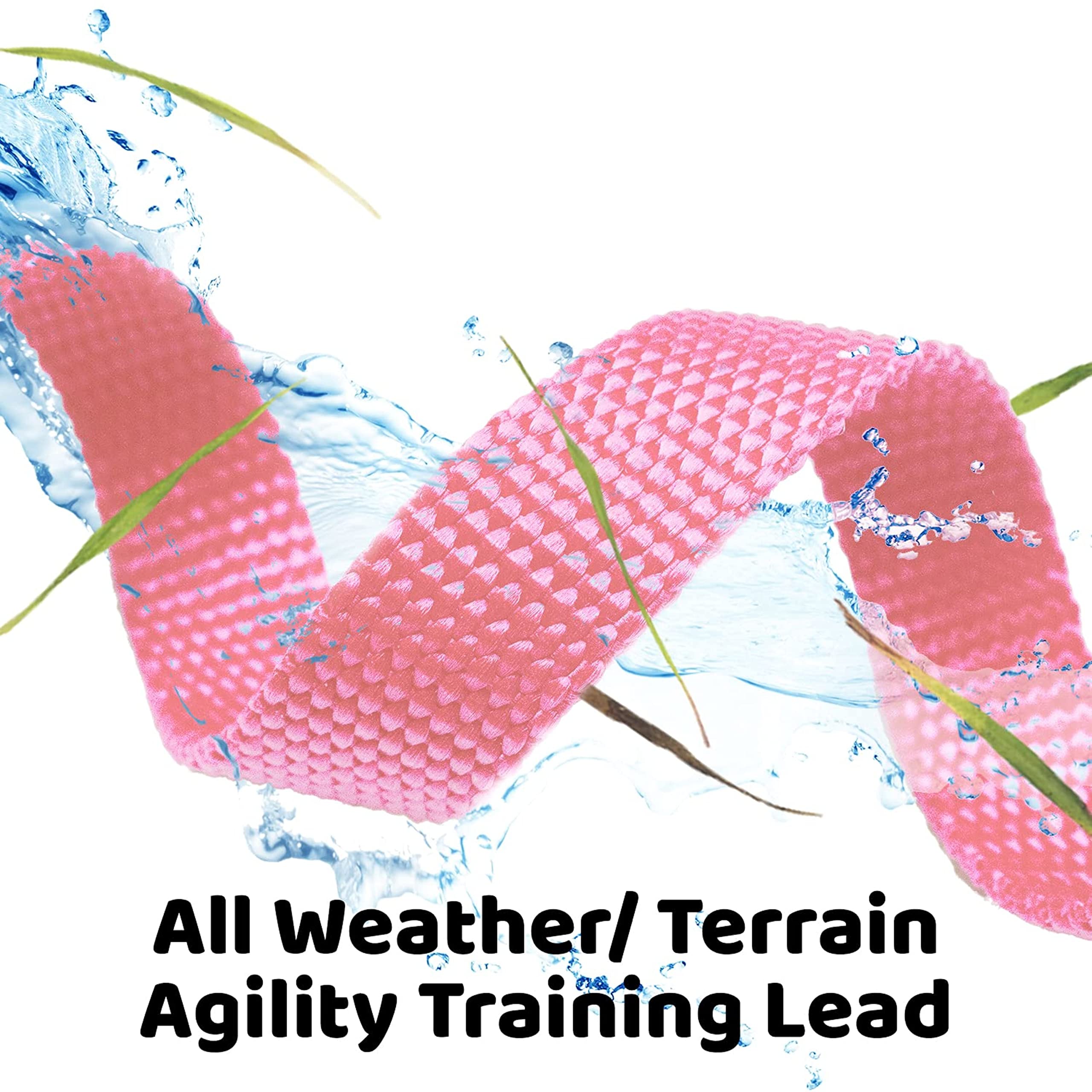 Downtown Pet Supply - Long Dog Leash - 50 ft Pink Nylon Dog Training Leash for Recall & Obedience