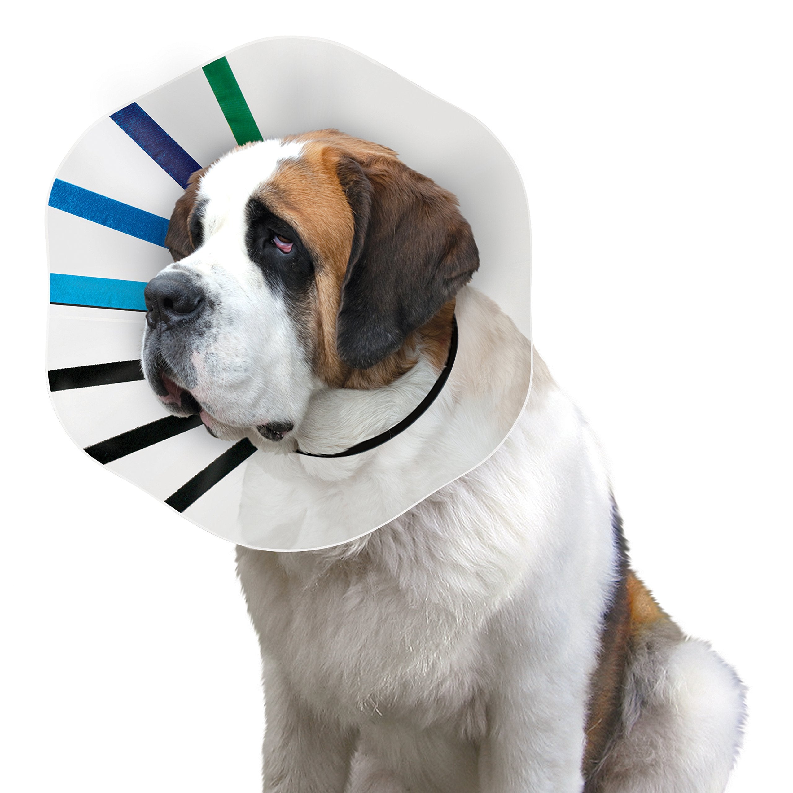 KONG - E-Collar EZ Clear - Lightweight and Padded E-Collar - For Injuries, Rashes and Post Surgery Recovery - For Medium Dogs/Ca