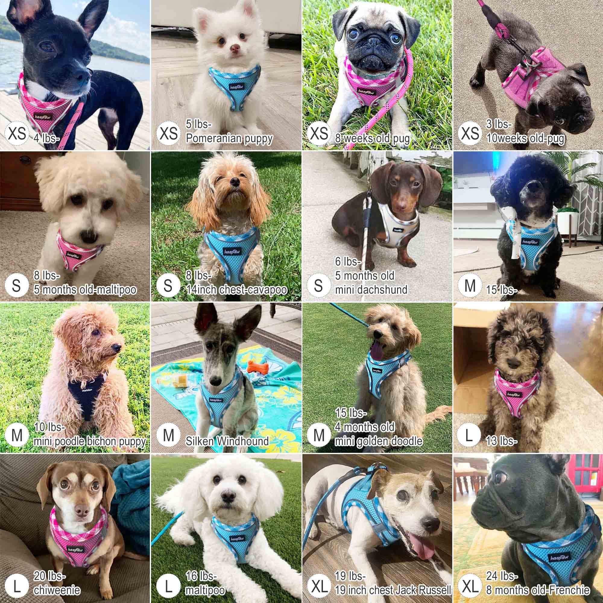 Haapaw Dog Harness With Leash Set, No Pull Adjustable Reflective Step-In Puppy Harness With Thickened Padded Vest For Extra-Small/Small Medium Dogs