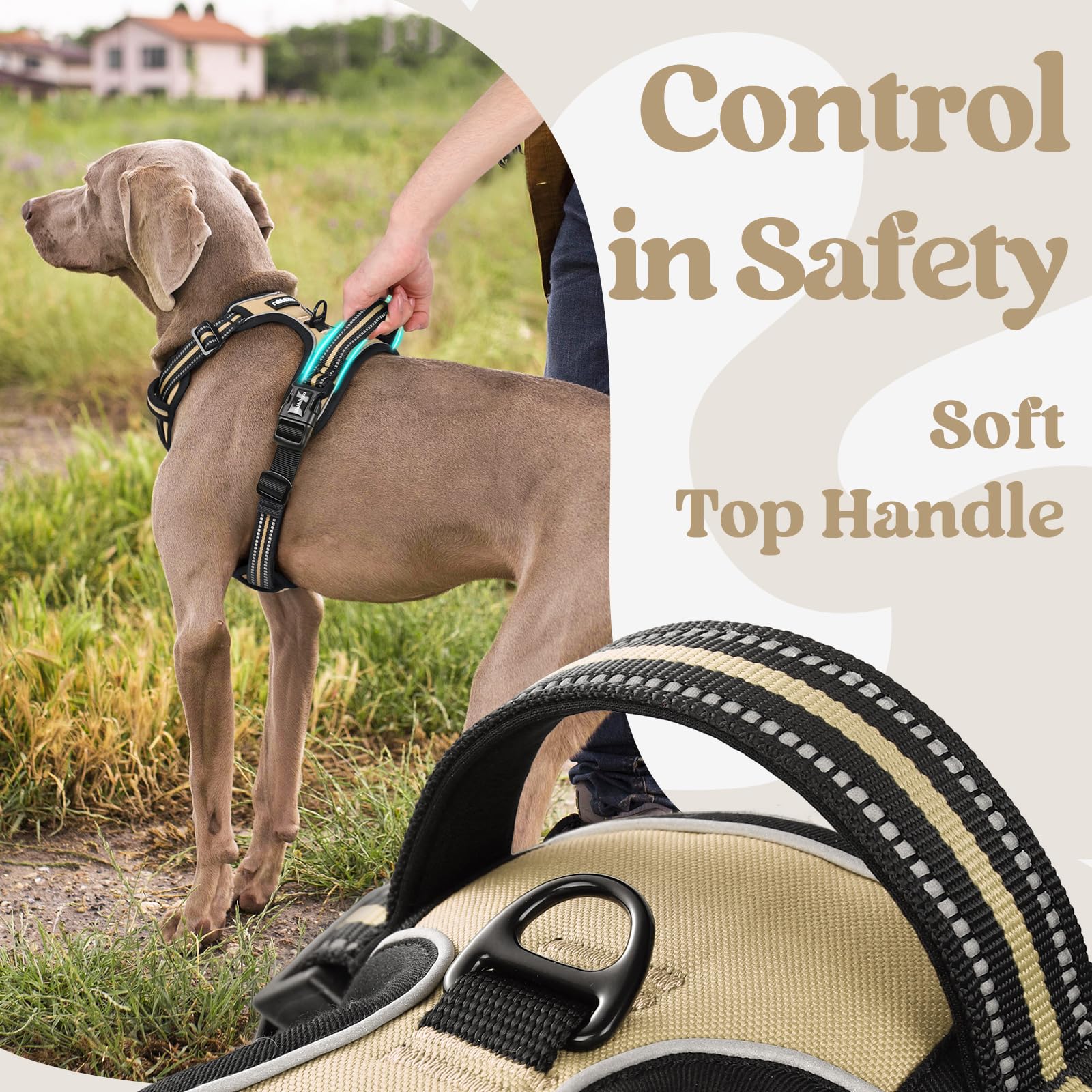 Rabbitgoo Dog Harness Small Sized, No Pull Pet Harness With 3 Buckles, Adjustable Soft Padded Pooch Vest With Instant Control Ha