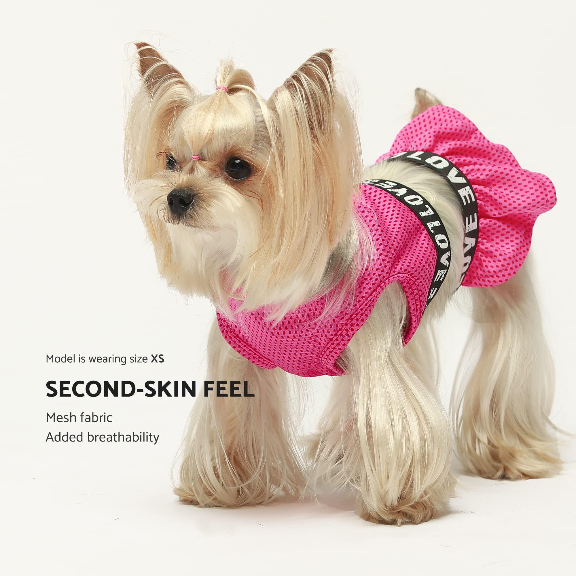 Fitwarm 2 Piece Dog Dress, Athleisure Lightweight Dog Clothes For Small Dogs Girl, Cat Apparel, Rose Pink, Xsmall