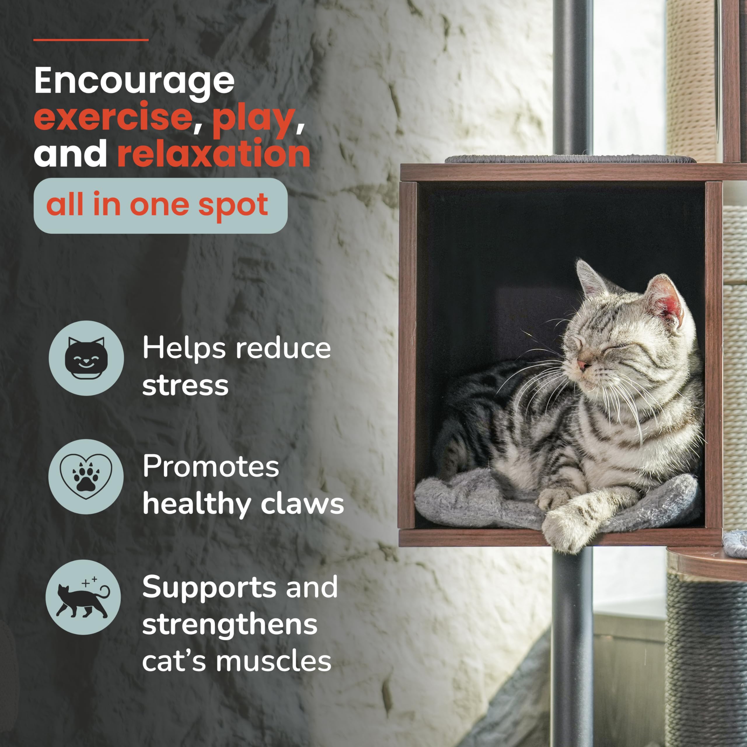 Konelcare Modern Cat Tree-Sleek Wooden Furniture-Style Tower(60'') Blends With Home Decor, Tallest Scratching Post(48''), 3 Cat