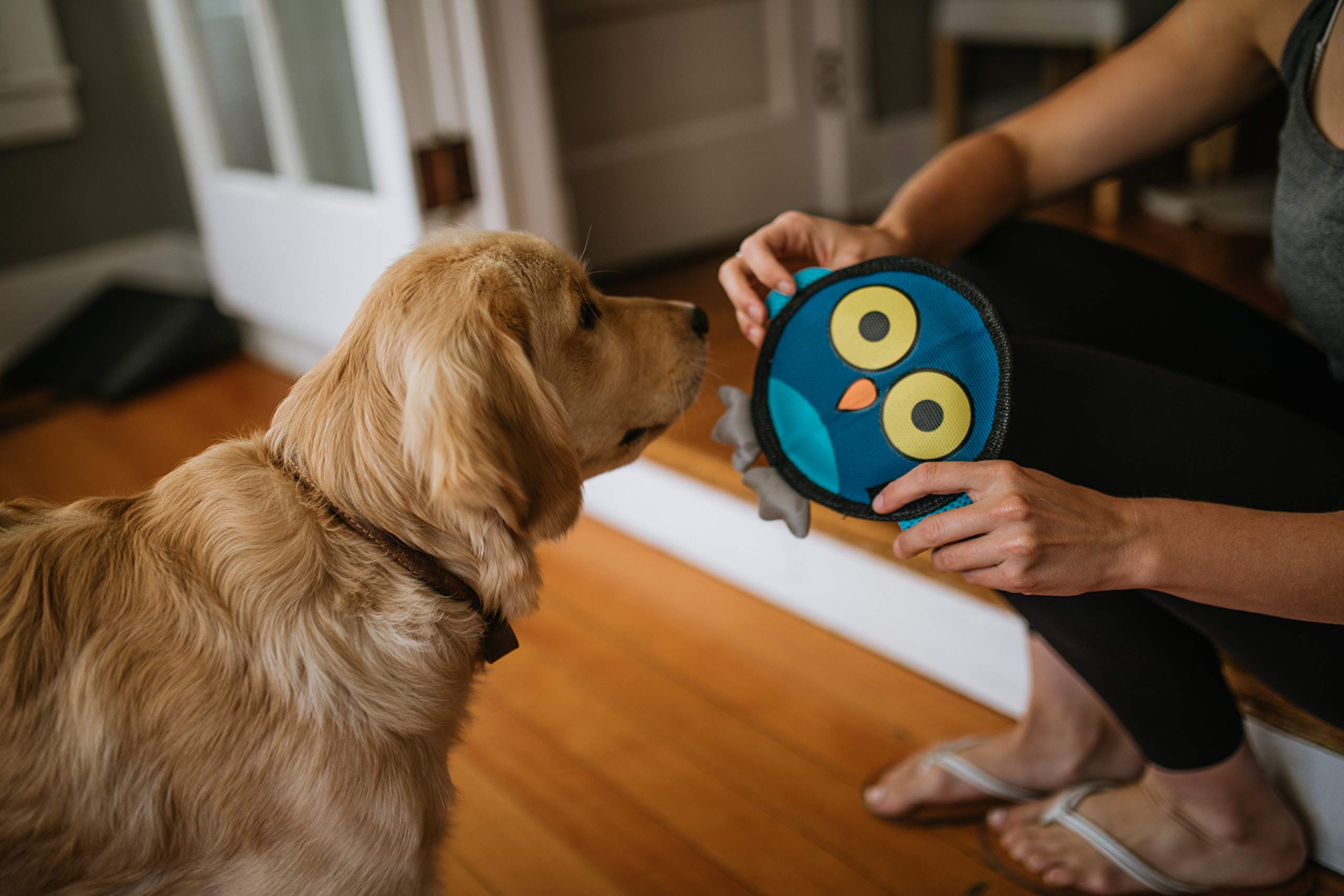 Hyper Pet Firehose Flyers Owl Durable Squeaky Dog Toy Grey 7.5 X 1.2 X 8.2 Inches