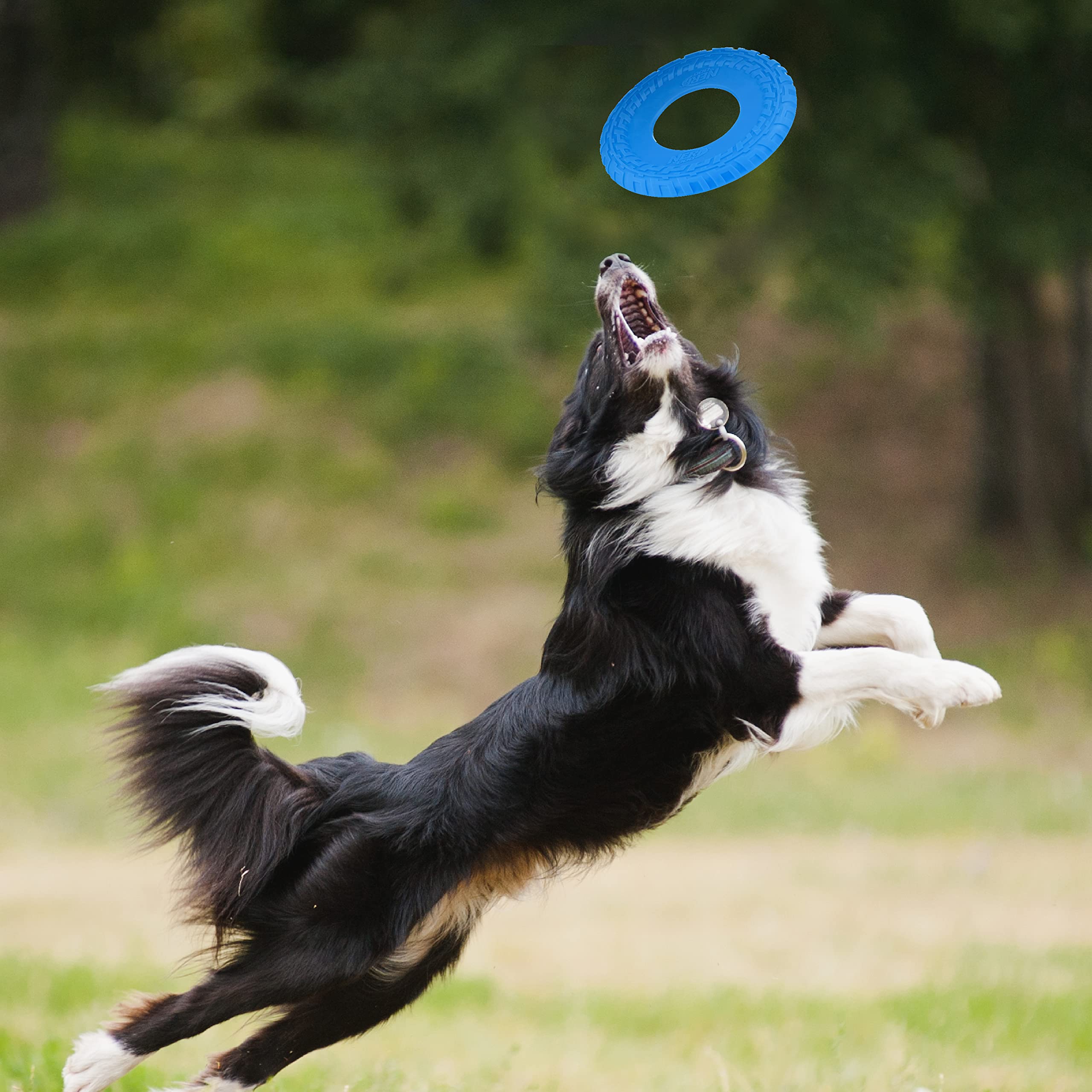 Nerf Dog Tire Flyer Outdoor Dog Toy, 10 Inch Flying Disc Dog Fetch Toy, Rubber Dog Toy For Medium Dogs And Large Dogs, Blue