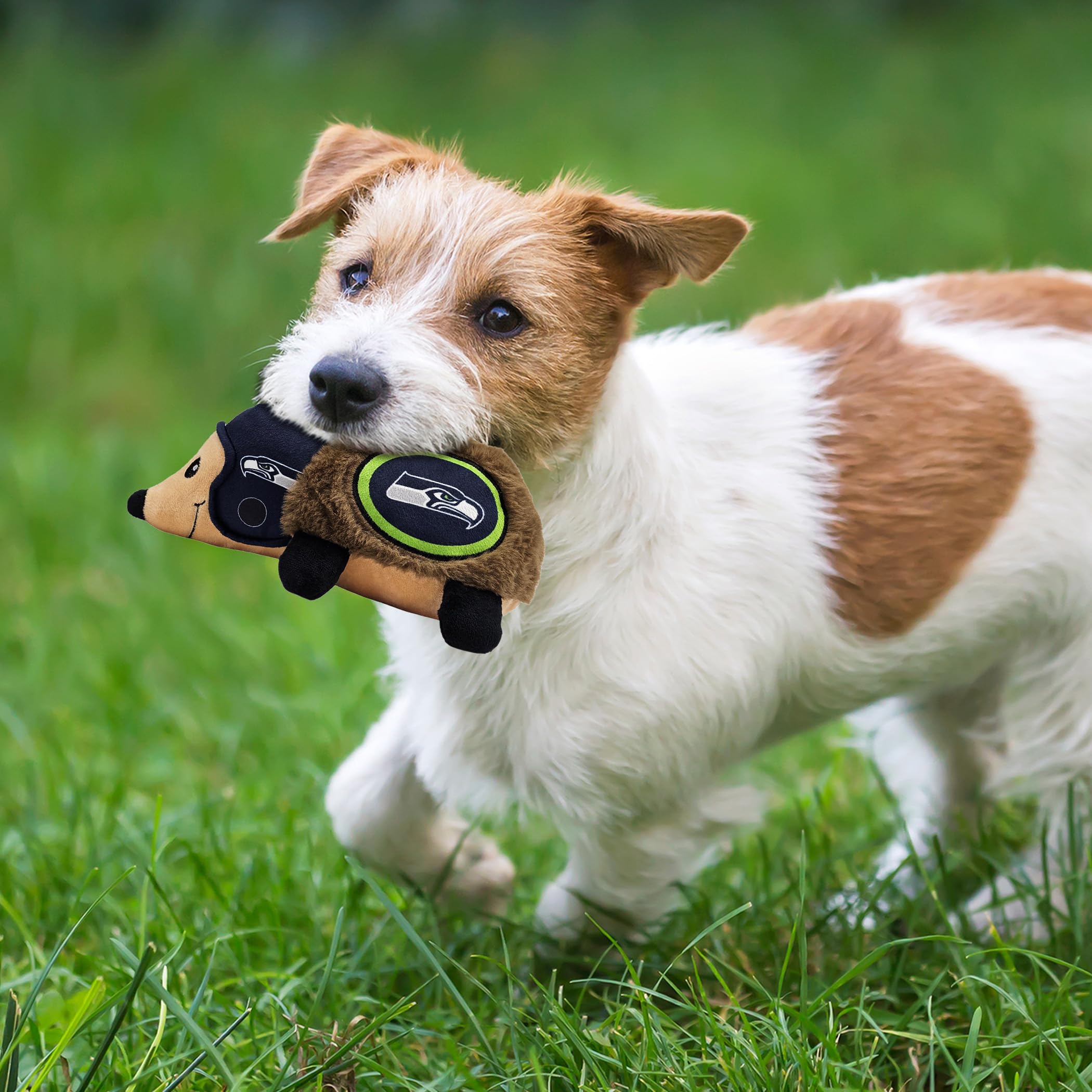 Nfl Seattle Seahawks Plush Hedgehog Toy For Dogs & Cats, Cool Soft Pet Toy For Fun And Interactive Play, Dog Chew Toy With Squea
