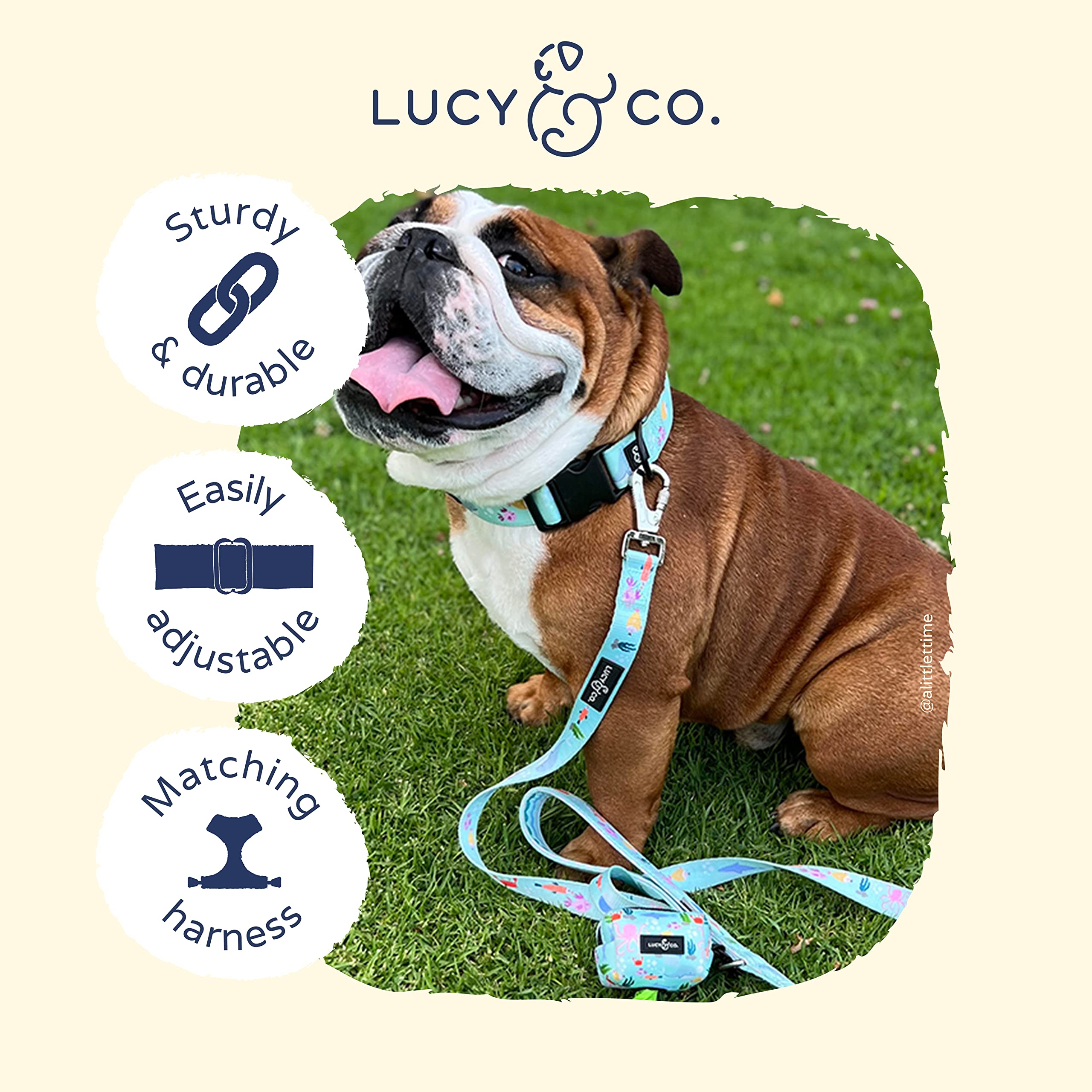 Lucy & Co. Feeling Fintastic Dog Collar - Durable Lightweight Designer Collar For Pets - Adjustable Metal Safety Buckle - Mint G