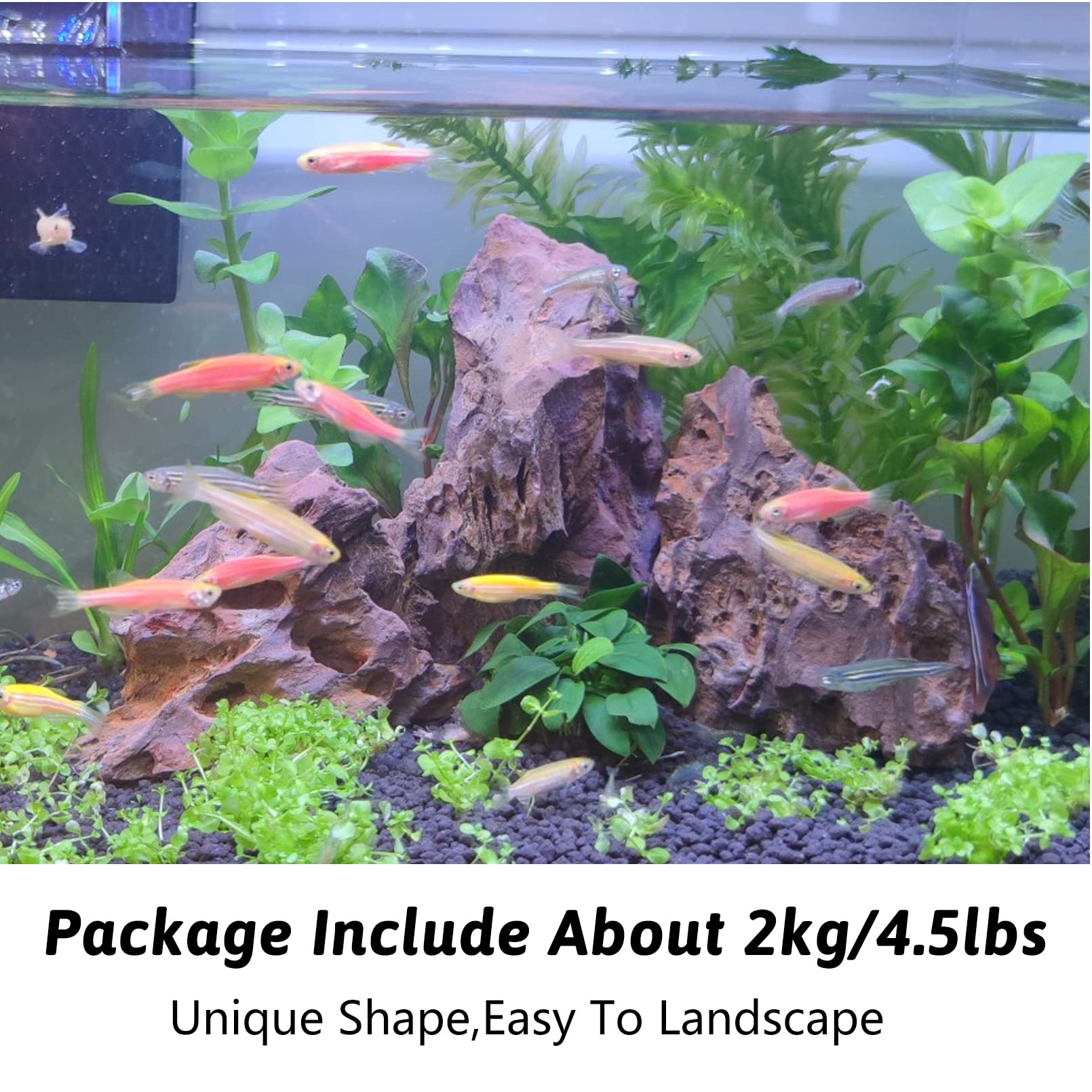 Pinvnby Dragon Stone Ohko Rock Natural Aquarium Rocks Aquascaping 4.5 Lbs Mixed Sizes Perfect Rocks For Reptile & Amphibian Tanks