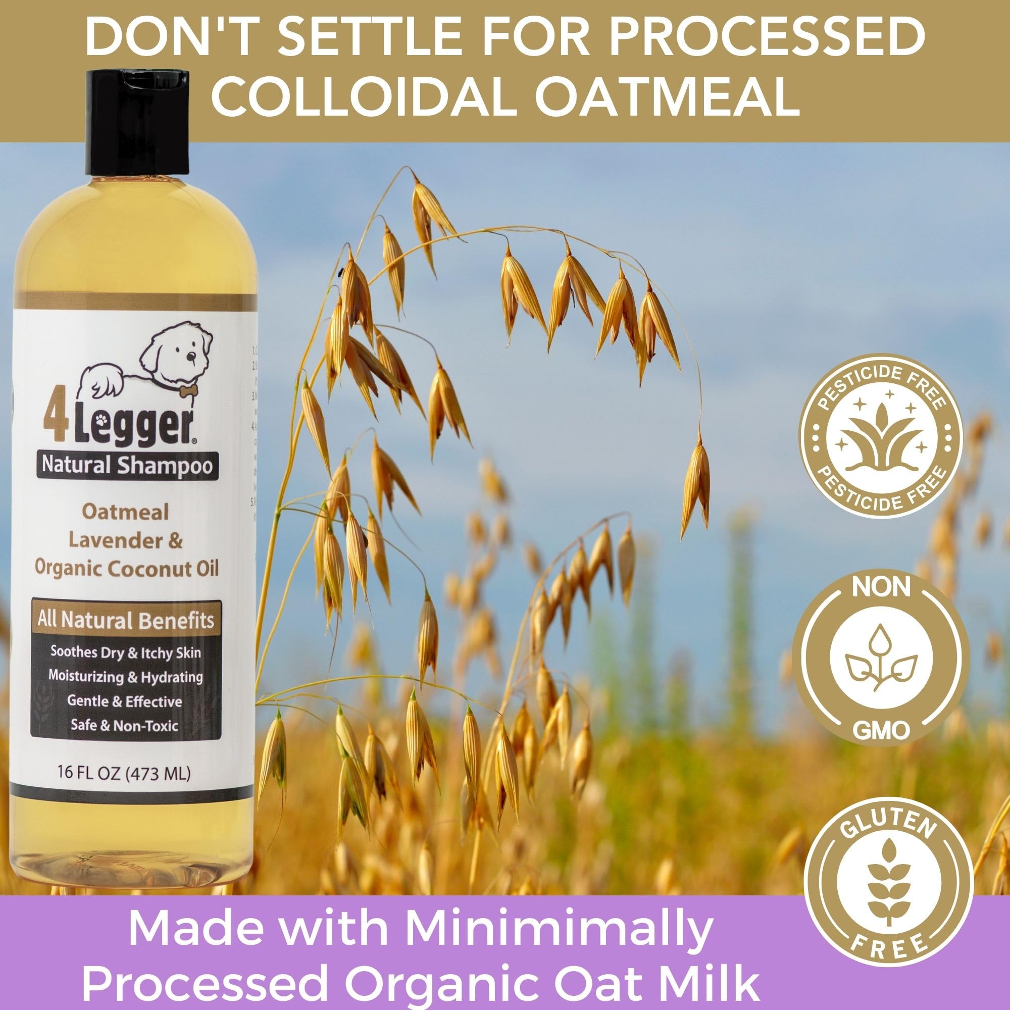 4Legger Organic Dog Shampoo Usda Certified Organic, All Natural Hypoallergenic Dog Shampoo With Oatmeal, Lavender, And Coconut Oil - Organic Oatmeal Shampoo For Dogs - Dog Shampoo For Itchy Skin 16 Oz