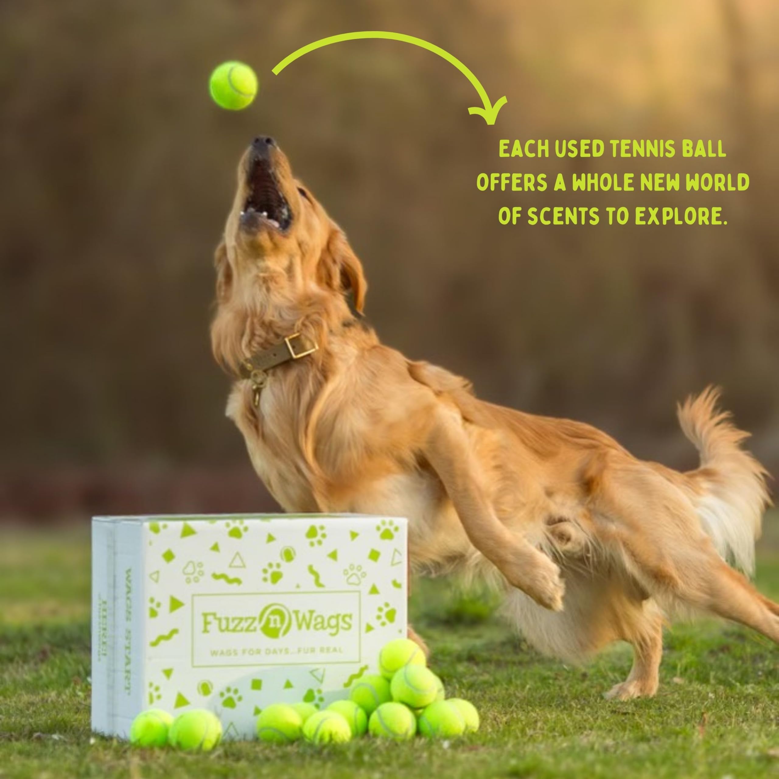 25-100 Bulk Used Tennis Balls For Dogs, Support Usa Tennis Ball Recycling Nonprofit: Bulk Tennis Balls For Dogs, Tennis Balls Fo