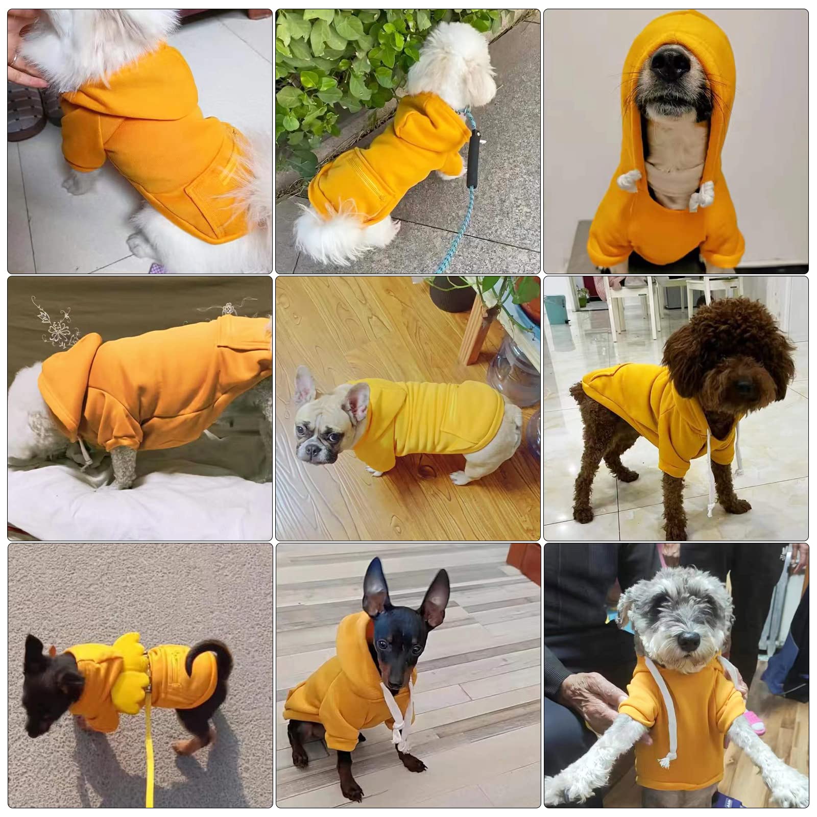 Petcare Small Dog Hoodie Cat Sweater Yellow Warm Soft Fleece Sweatshirts With Pocket Fall Winter Puppy Sweaters Cat Clothes For