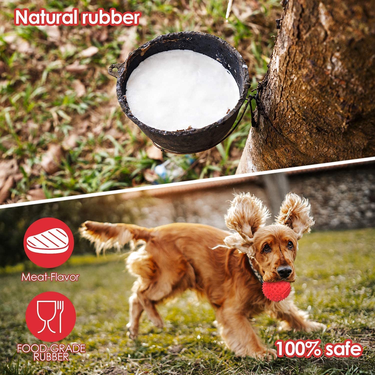 petizer Squeaky Dog Ball - Durable 3" Natural Rubber Toy for Aggressive Chewers - Red - Model DB250213