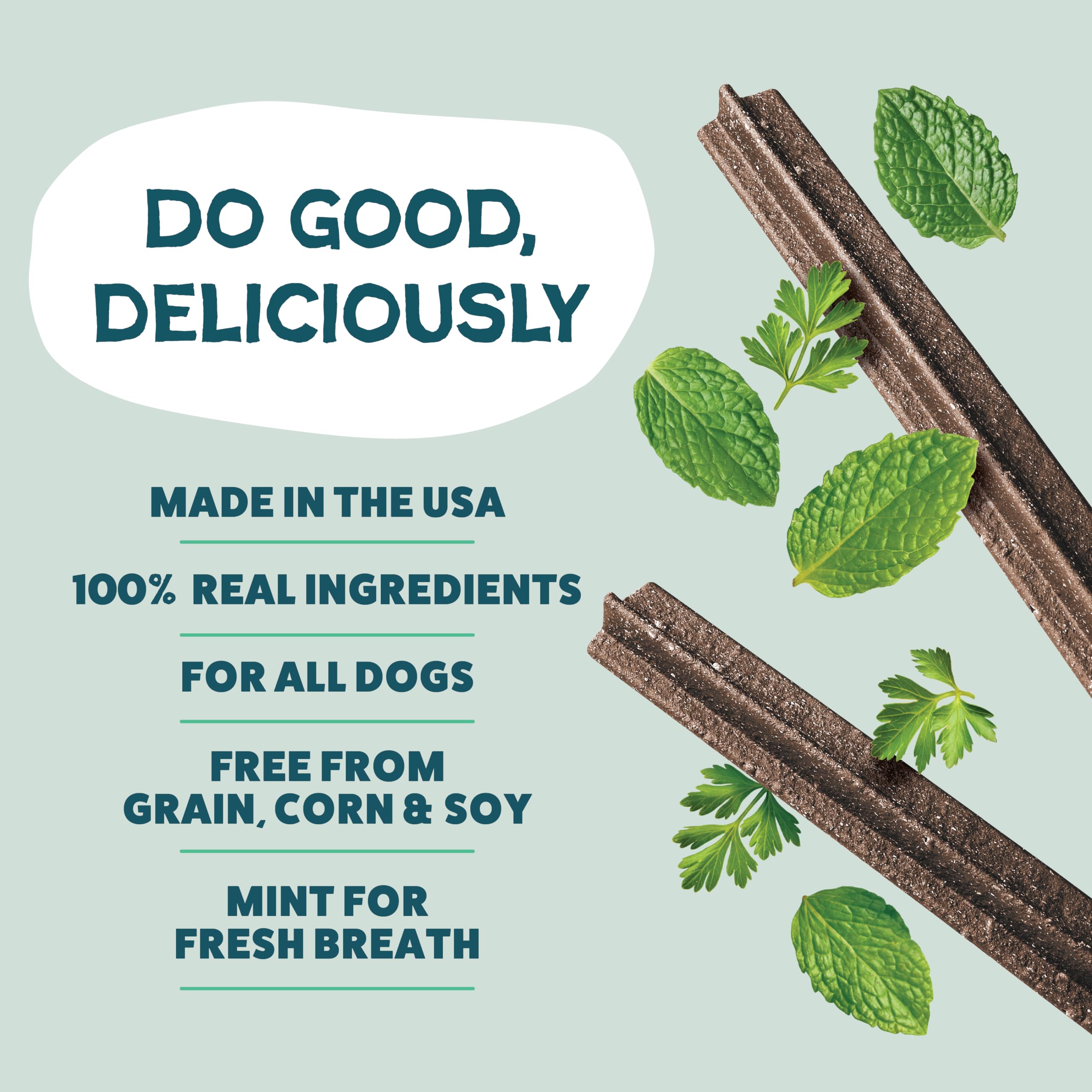 Shameless Pets Dental Chews for Dogs, Mighty Mint Dental Sticks, Healthy Treats for Teeth Cleaning & Fresh Breath - Free from Gr