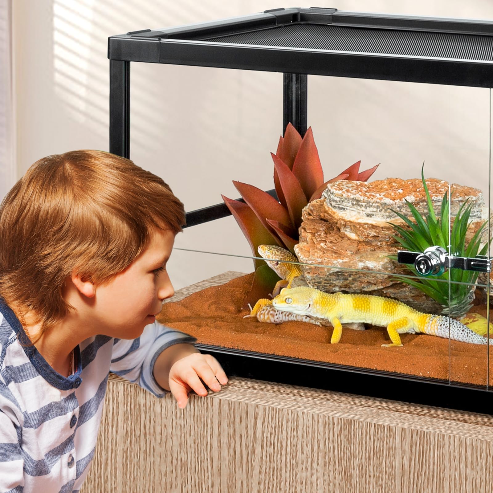 Cavachew 20 Gallon Reptile Tank, 30'' X 12'' X 12'' Reptile Terrarium, Top Screen Ventilation, Sliding Door, Cable & Fogger Pass