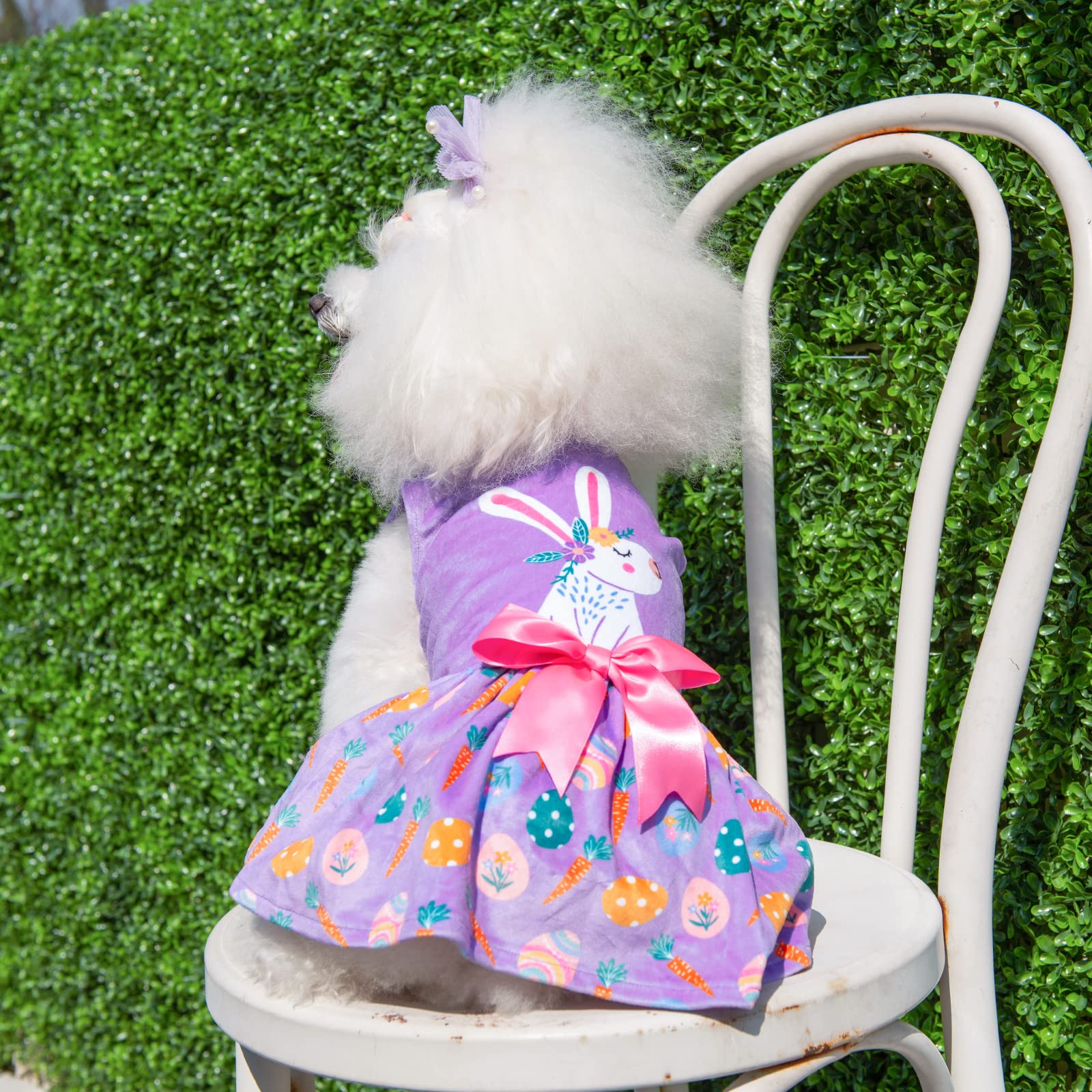 Cutebone White Rabbit Dog Easter Dress Velvet For Small Dogs Girl Eggs Skirt Puppy Purple Dresses Dog Clothes Cva19S-D