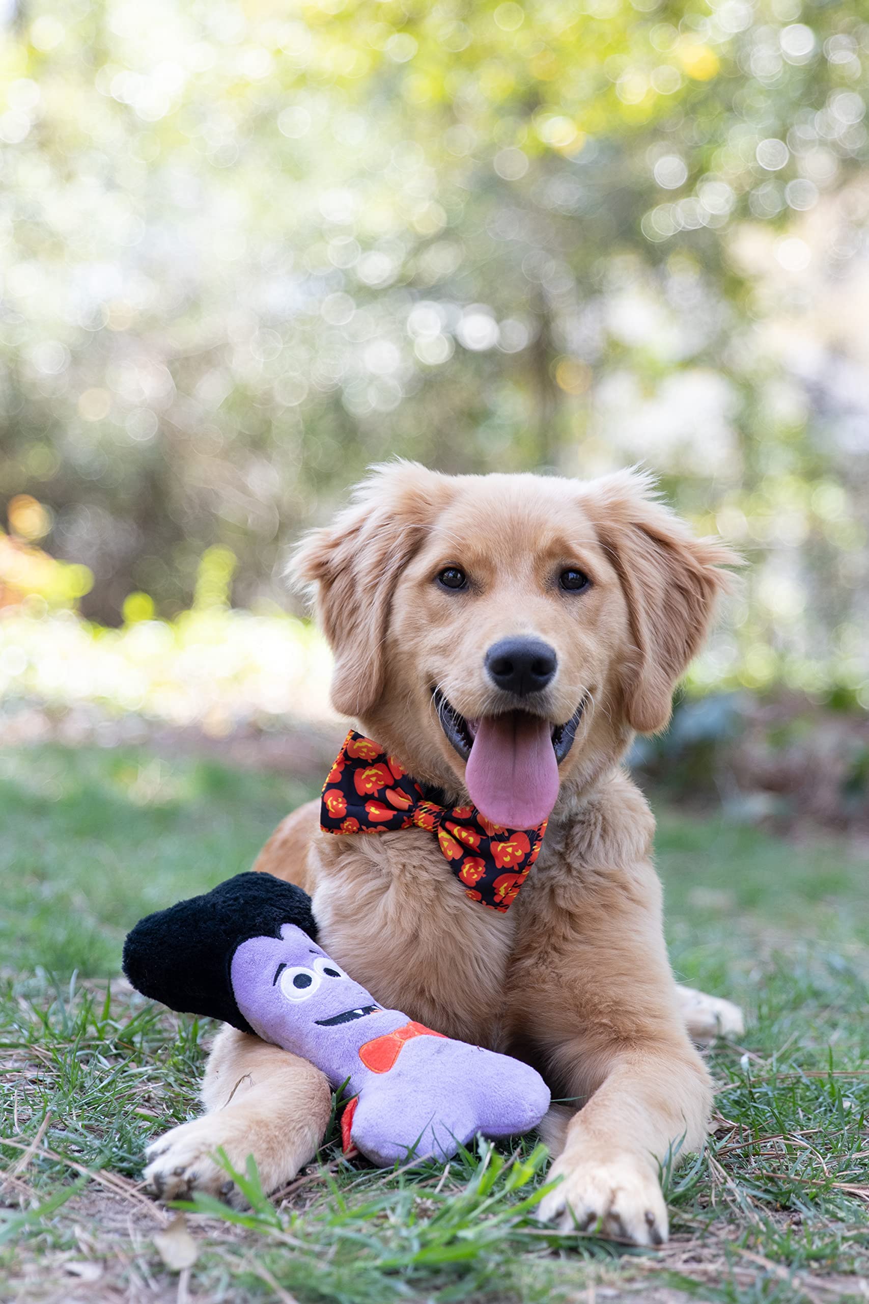Huxley & Kent Bow Tie For Pets | Plaid-O-Lantern (Extra-Large) | Halloween Bow Tie Collar Attachment | Fun Bow Ties For Dogs & Cats | Cute, Comfortable, And Durable | H&K Bow Tie