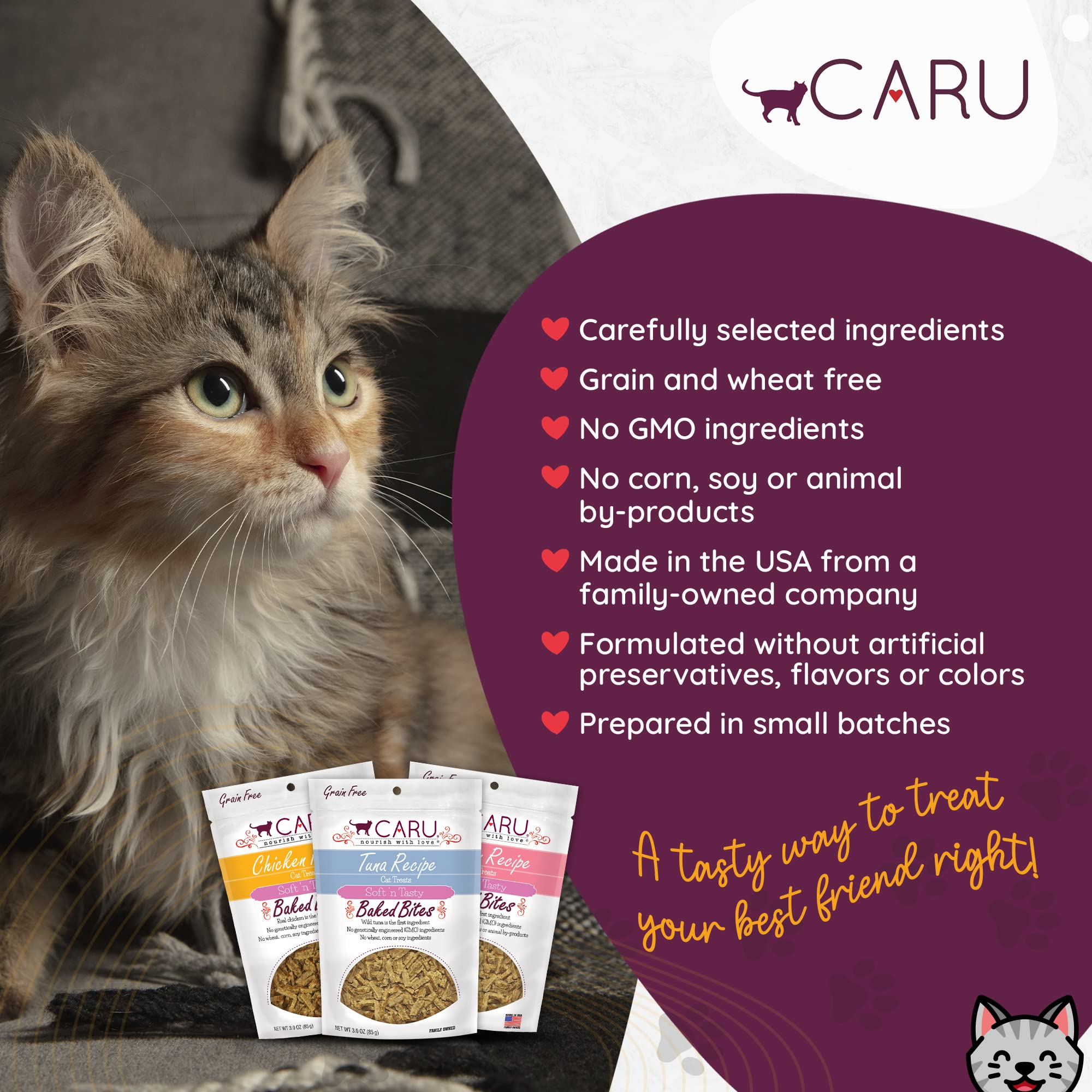 CARU - Soft n Tasty Baked Bites - Salmon Bites Cat Treats - Flavorful All-Natural Treats - 3 oz.