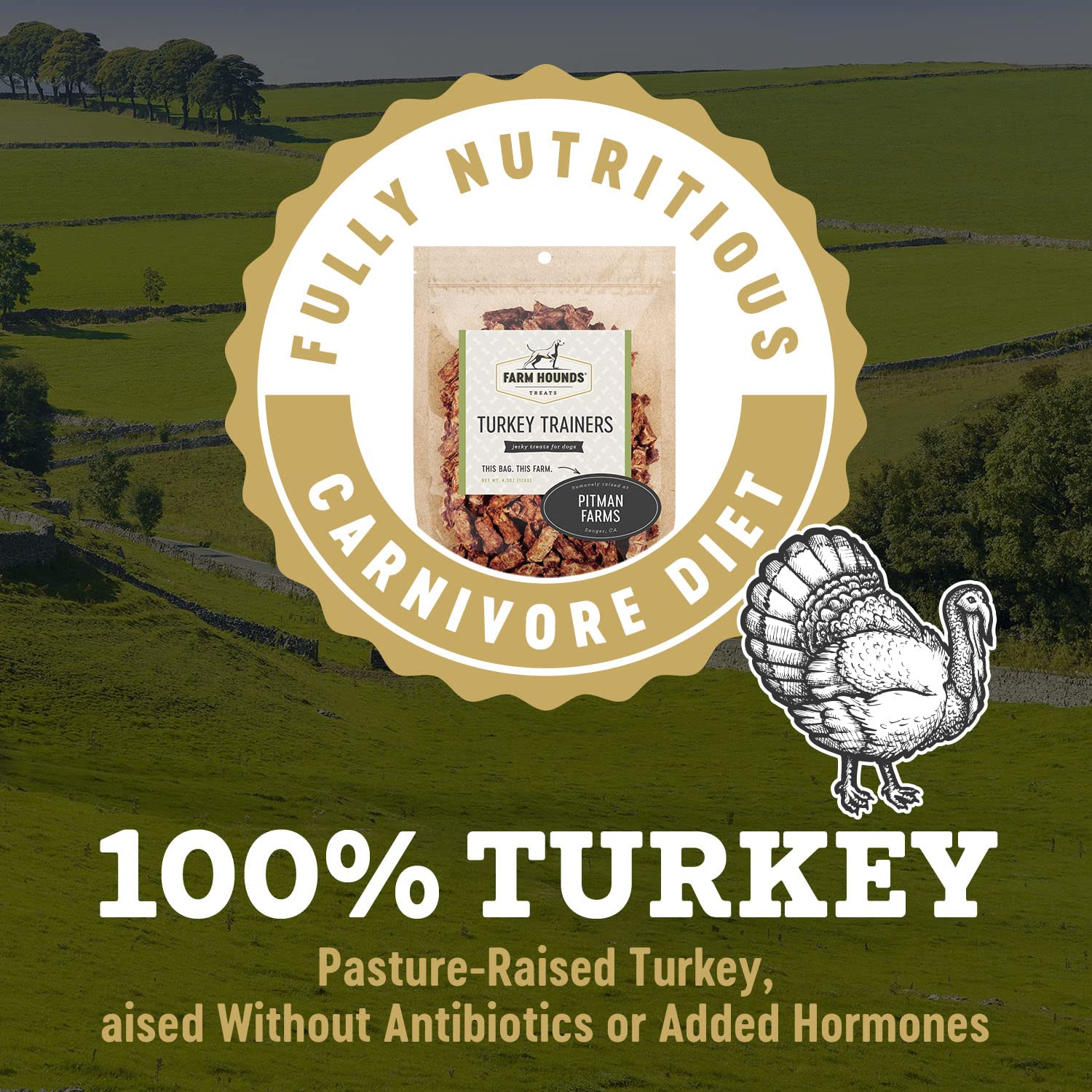 Farm Hounds - Turkey Trainers - Premium Natural Jerky for Dogs - 100% Humanely Raised Turkey - Easy-Break - Great for Training &