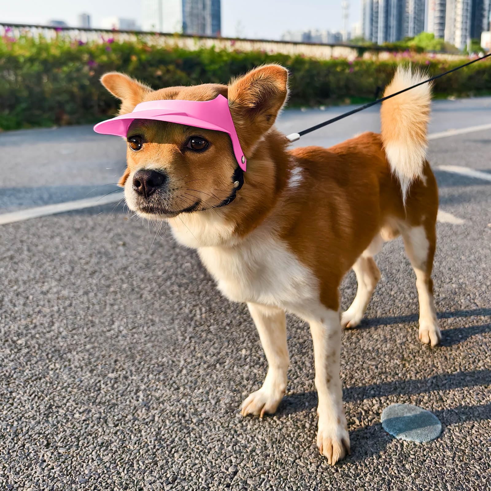 Namsan Dog Hat For Small To Medium Dogs Between 16.5-27.5Lb, Motorcycle Dog Sun Hat With Ear Holes, Stylish Doggy Visor, Empty T