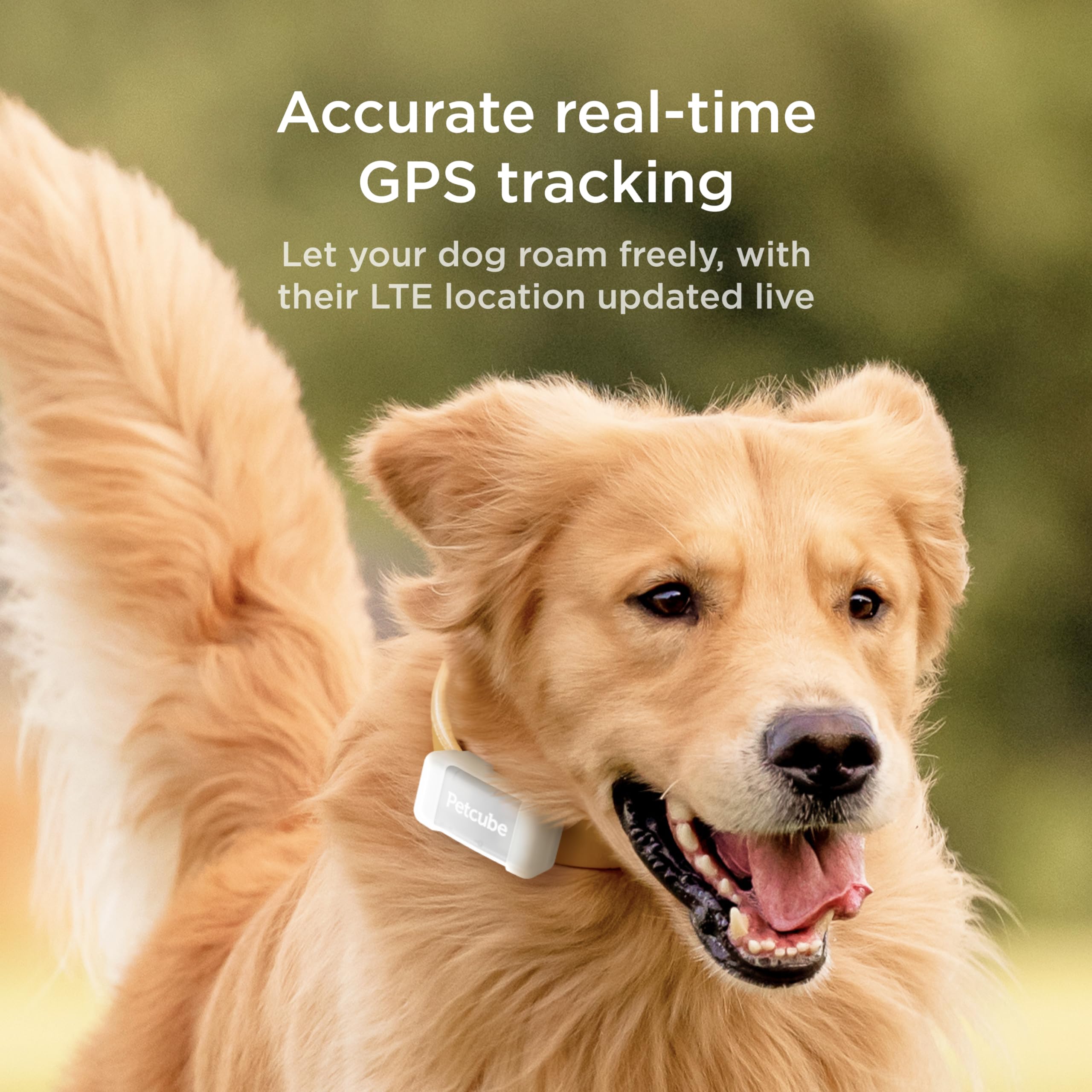 Petcube GPS Tracker for Dogs | Pet GPS Location Tracker with Escape Alerts and Virtual Fences, Activity and Wellness Monitoring,