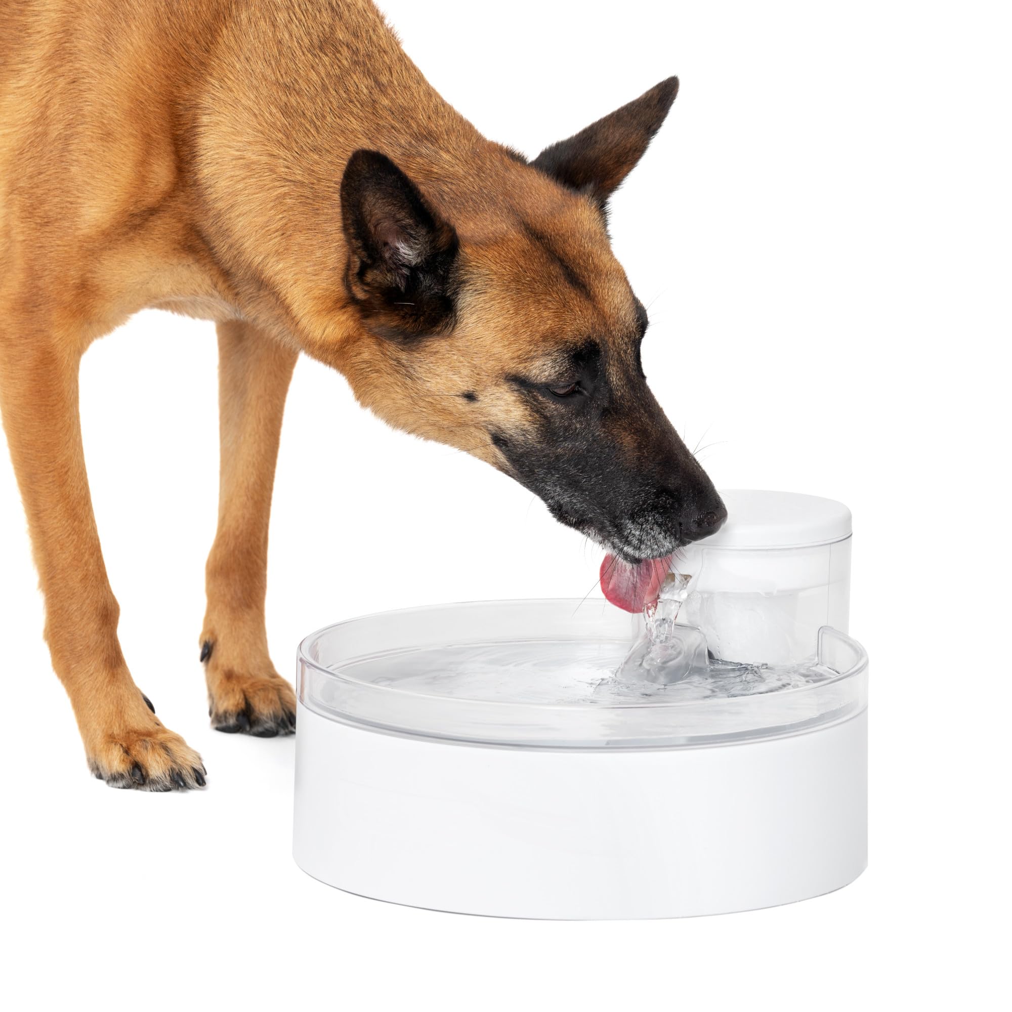 Petsafe Outlast Pumpless Dog Water Fountain 128 Oz - Indoor Water Dispenser For Dogs And Multiple Cats - Dishwasher Safe, Easy A