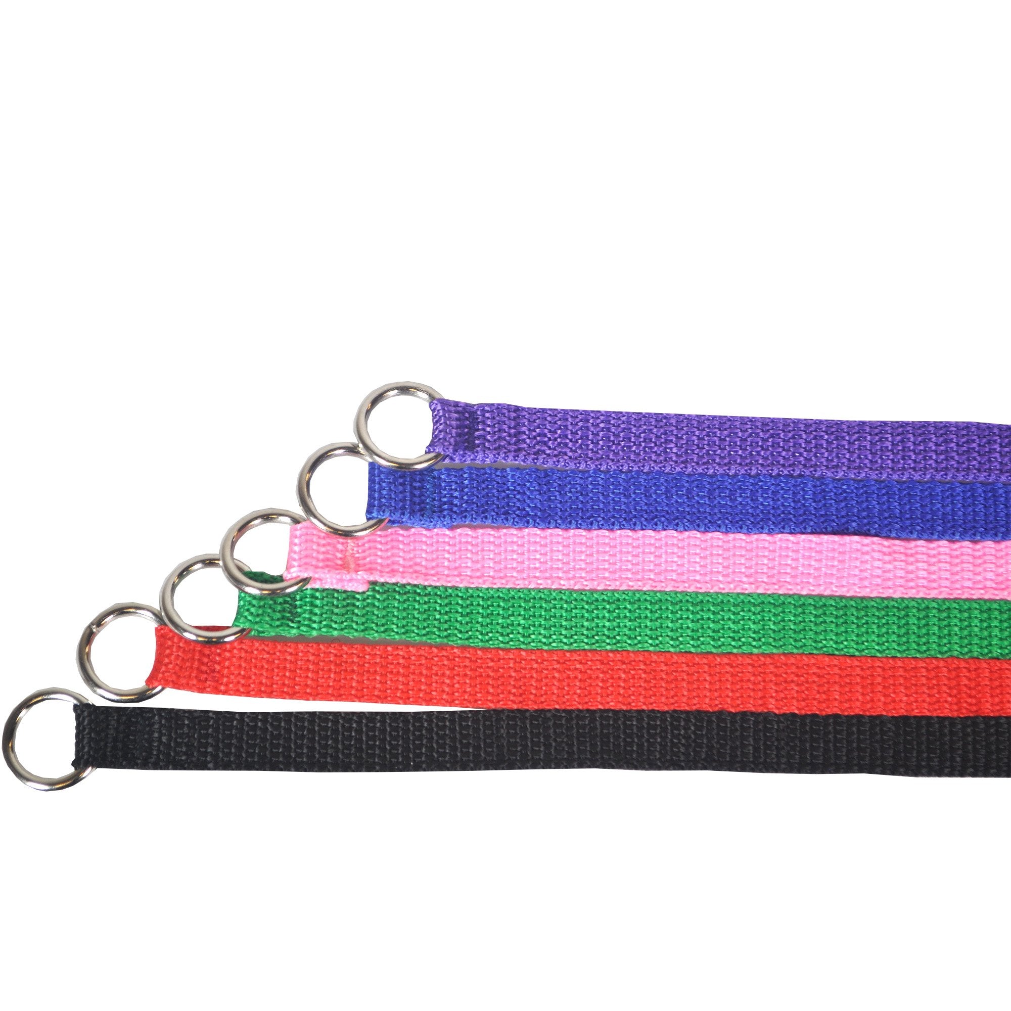 Downtown Pet Supply Slip Lead Dog Leash 6 Pack, 4' X 1/2'' - Universal Dog Leash With Metal O Ring - Machine Washable For Groome