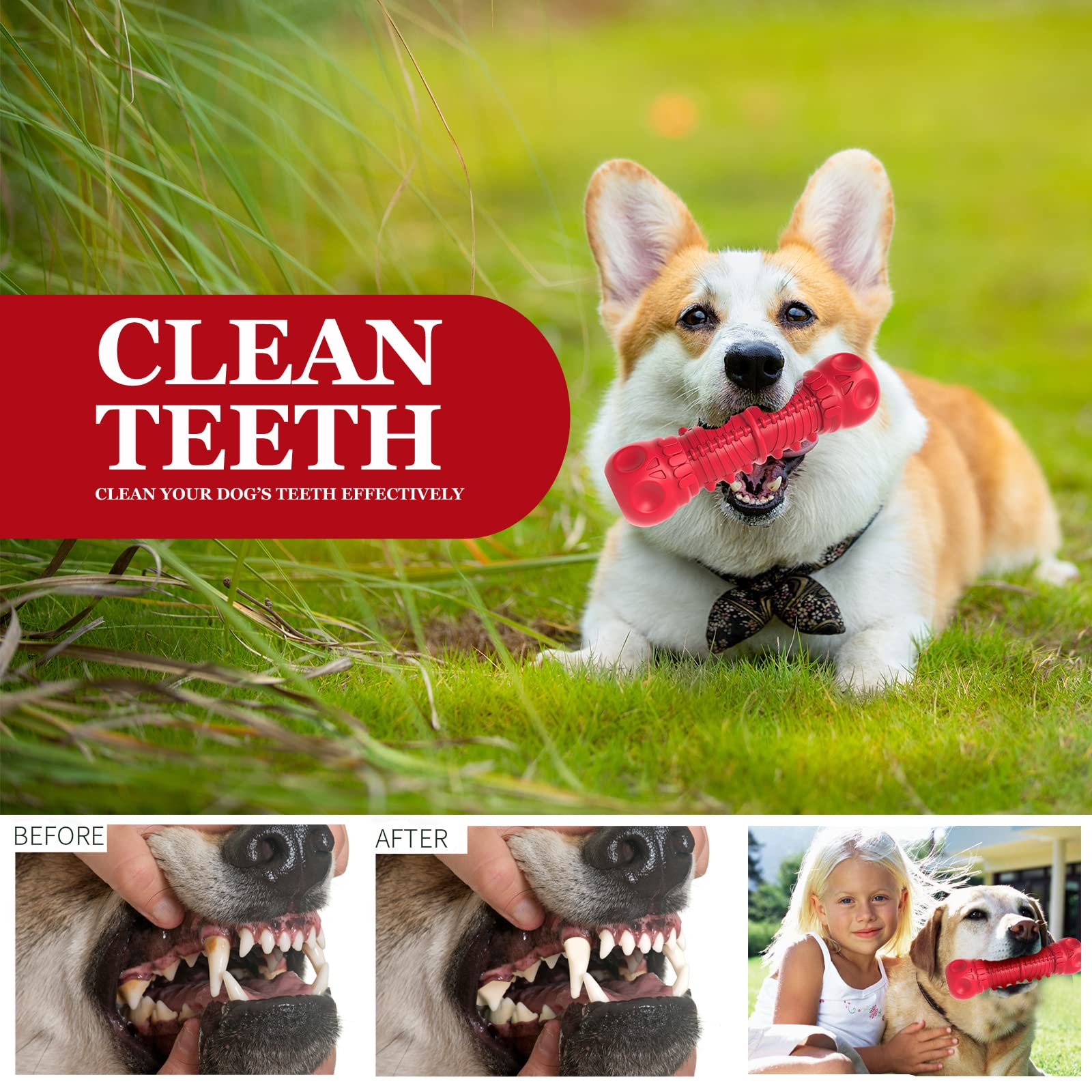 ZIKATON Dog Squeaky Toys for Small Dogs, Durable Natural Rubber, Tough Chew Toys, Red, Ideal for Aggressive Chewers